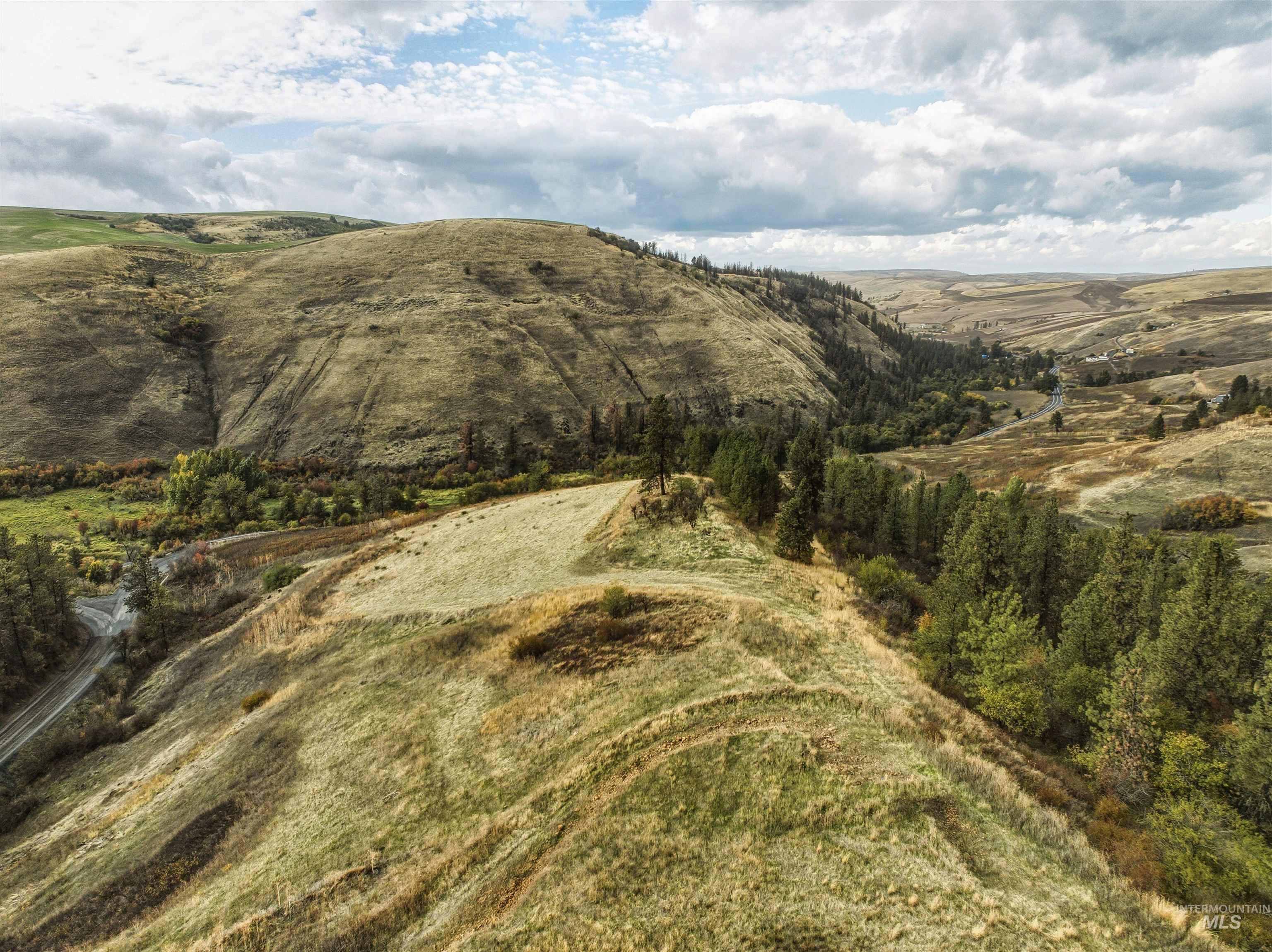 TBD Kettenbach Grade, Culdesac, Idaho 83534, Land For Sale, Price $535,000,MLS 98965612