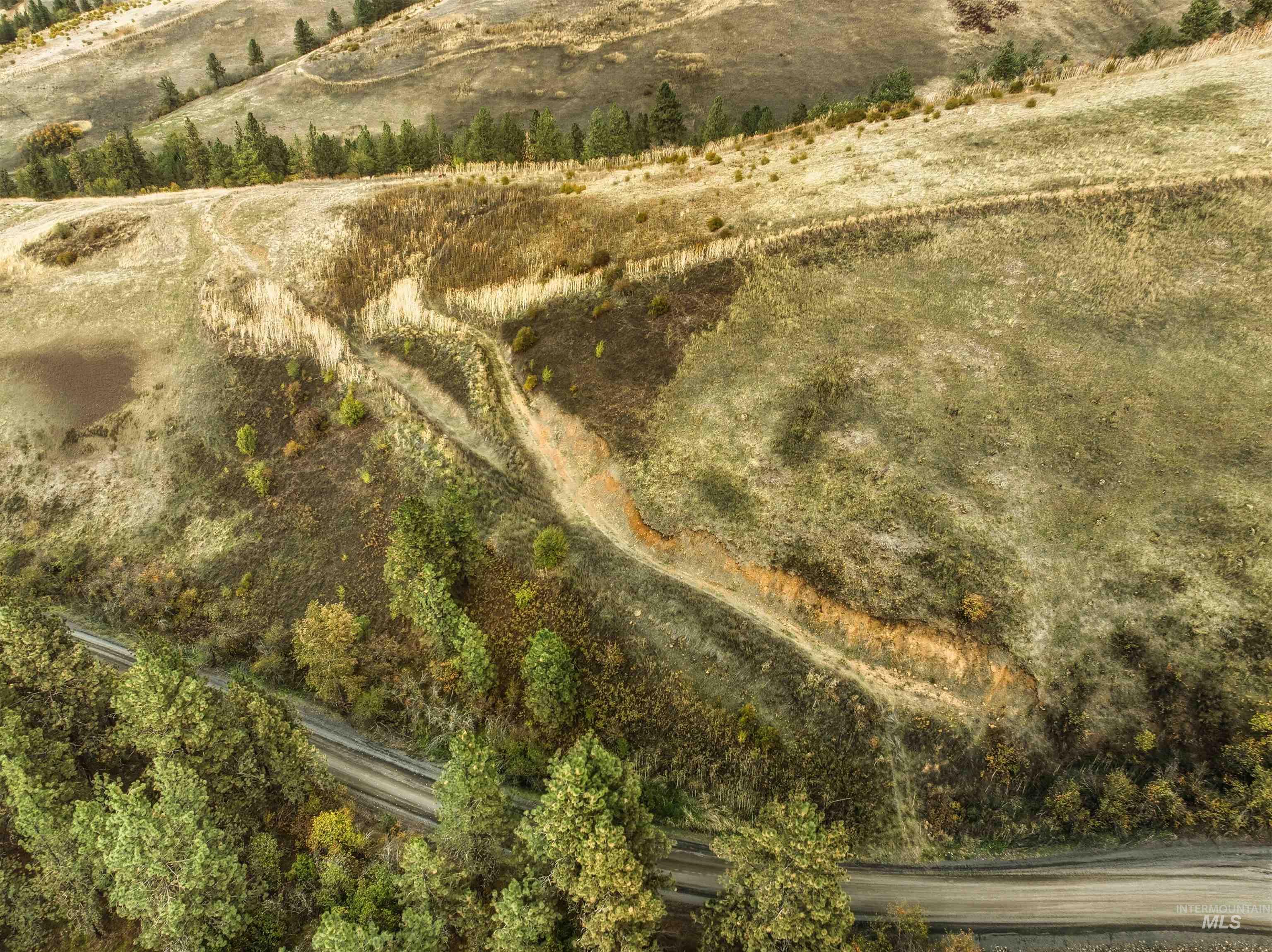 TBD Kettenbach Grade, Culdesac, Idaho 83534, Land For Sale, Price $535,000,MLS 98965612
