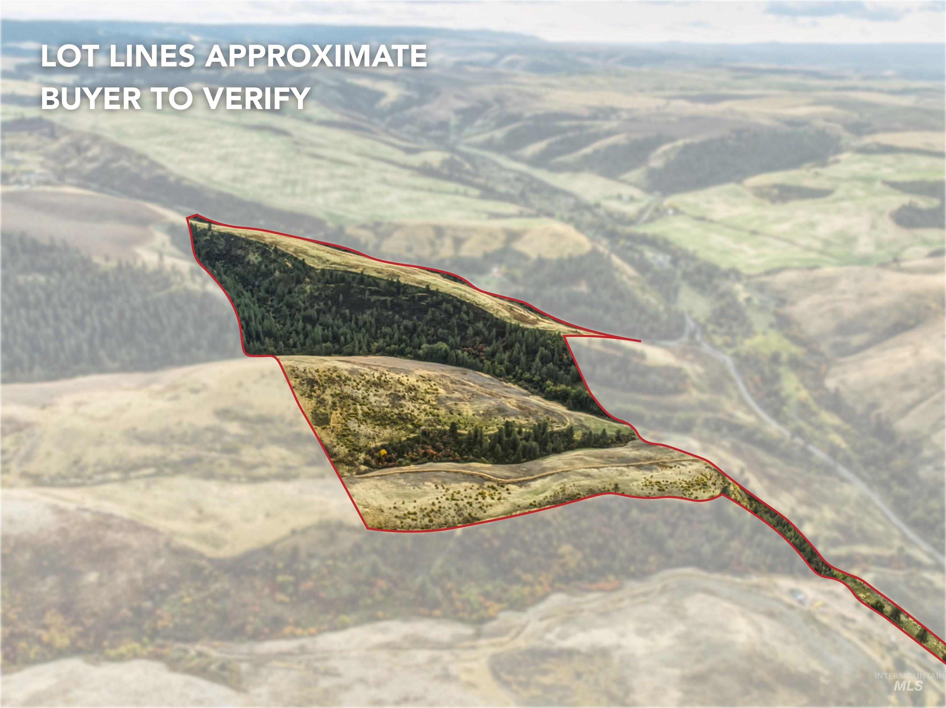 TBD Kettenbach Grade, Culdesac, Idaho 83534, Land For Sale, Price $535,000,MLS 98965612