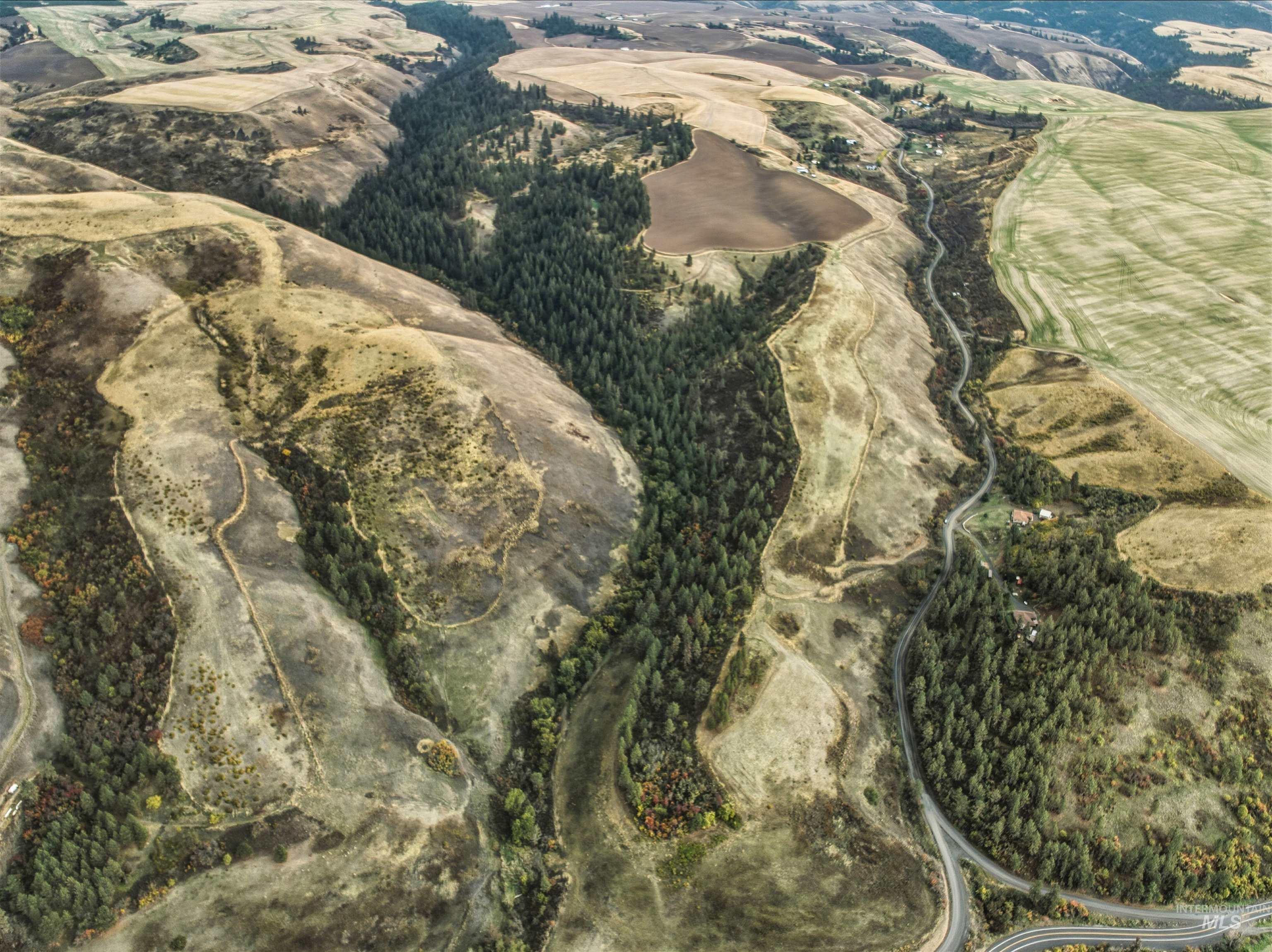 TBD Kettenbach Grade, Culdesac, Idaho 83534, Land For Sale, Price $535,000,MLS 98965612
