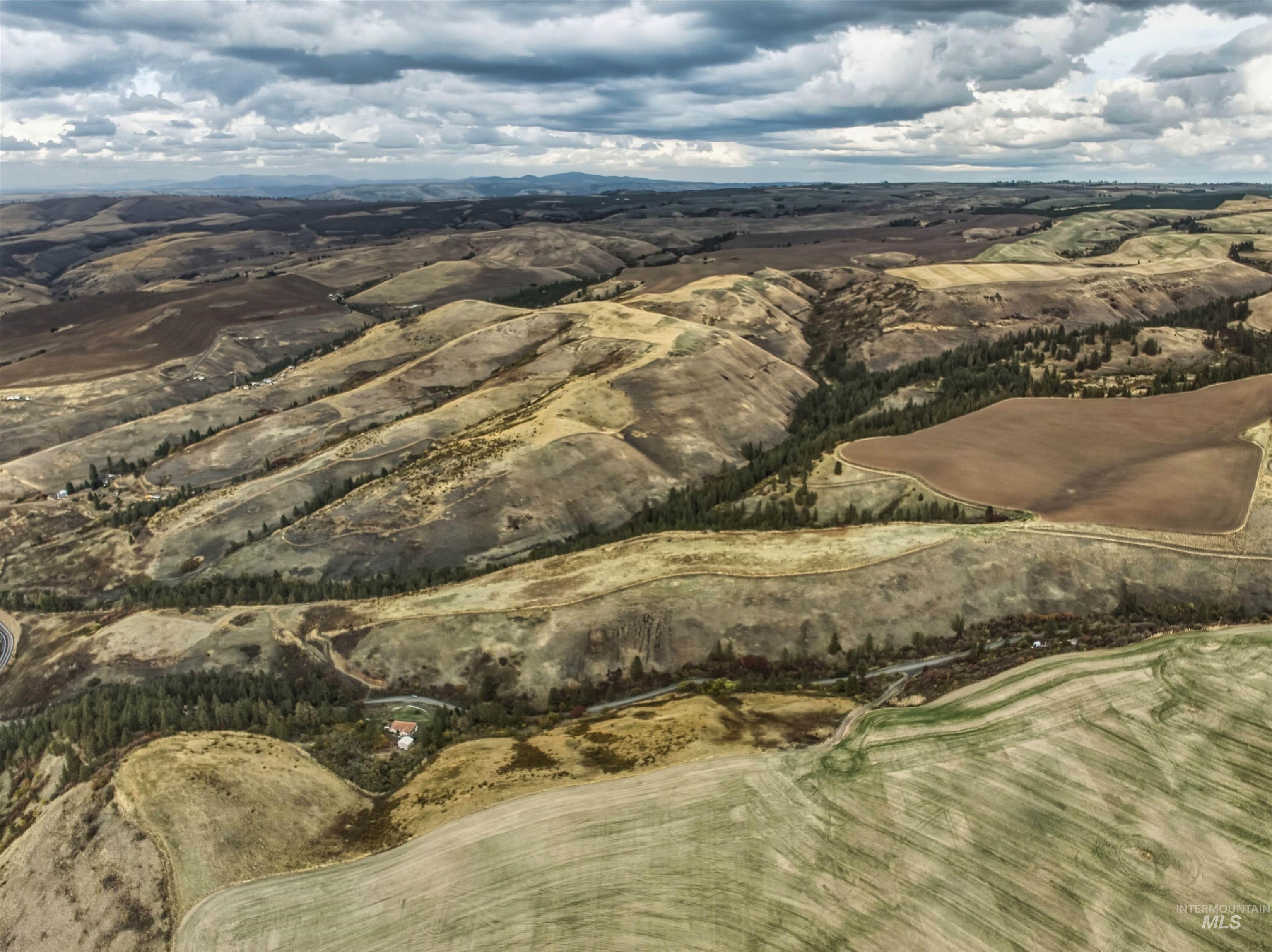 TBD Kettenbach Grade, Culdesac, Idaho 83534, Land For Sale, Price $535,000,MLS 98965612