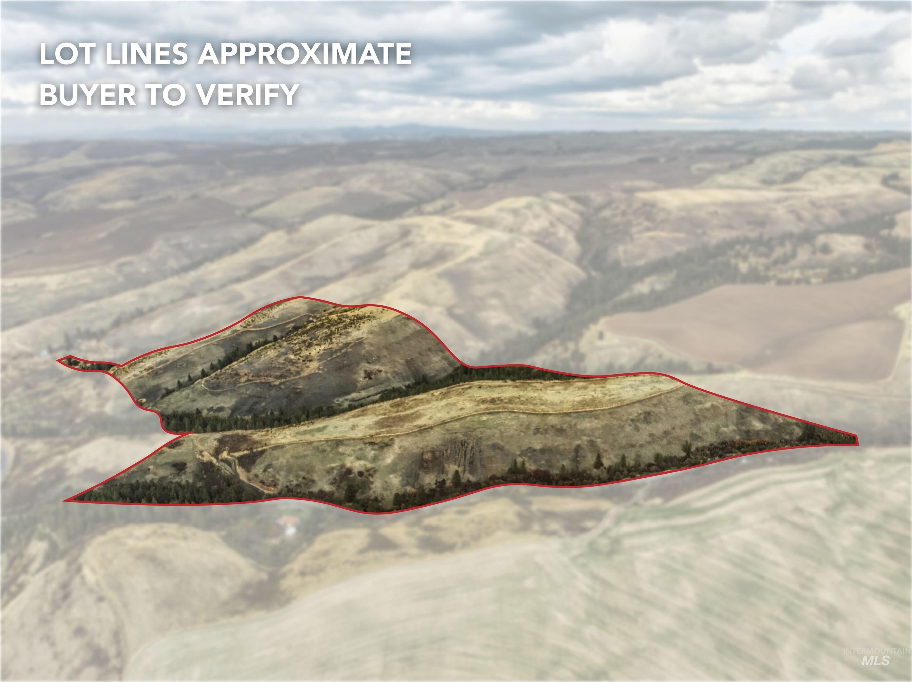 TBD Kettenbach Grade, Culdesac, Idaho 83534, Land For Sale, Price $535,000,MLS 98965612