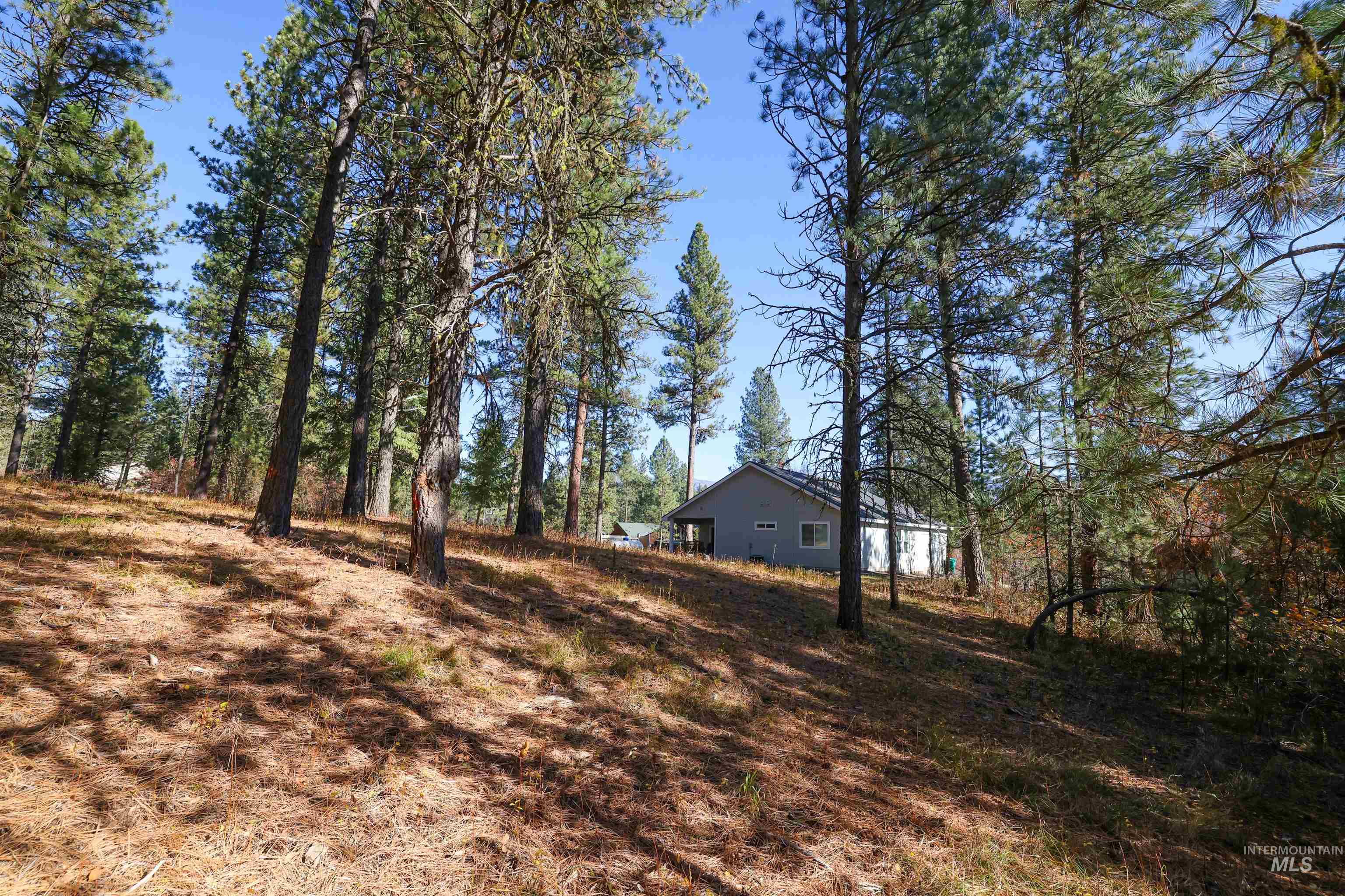 TBD Columbine Drive, New Meadows, Idaho 83654, Land For Sale, Price $77,900,MLS 98965636
