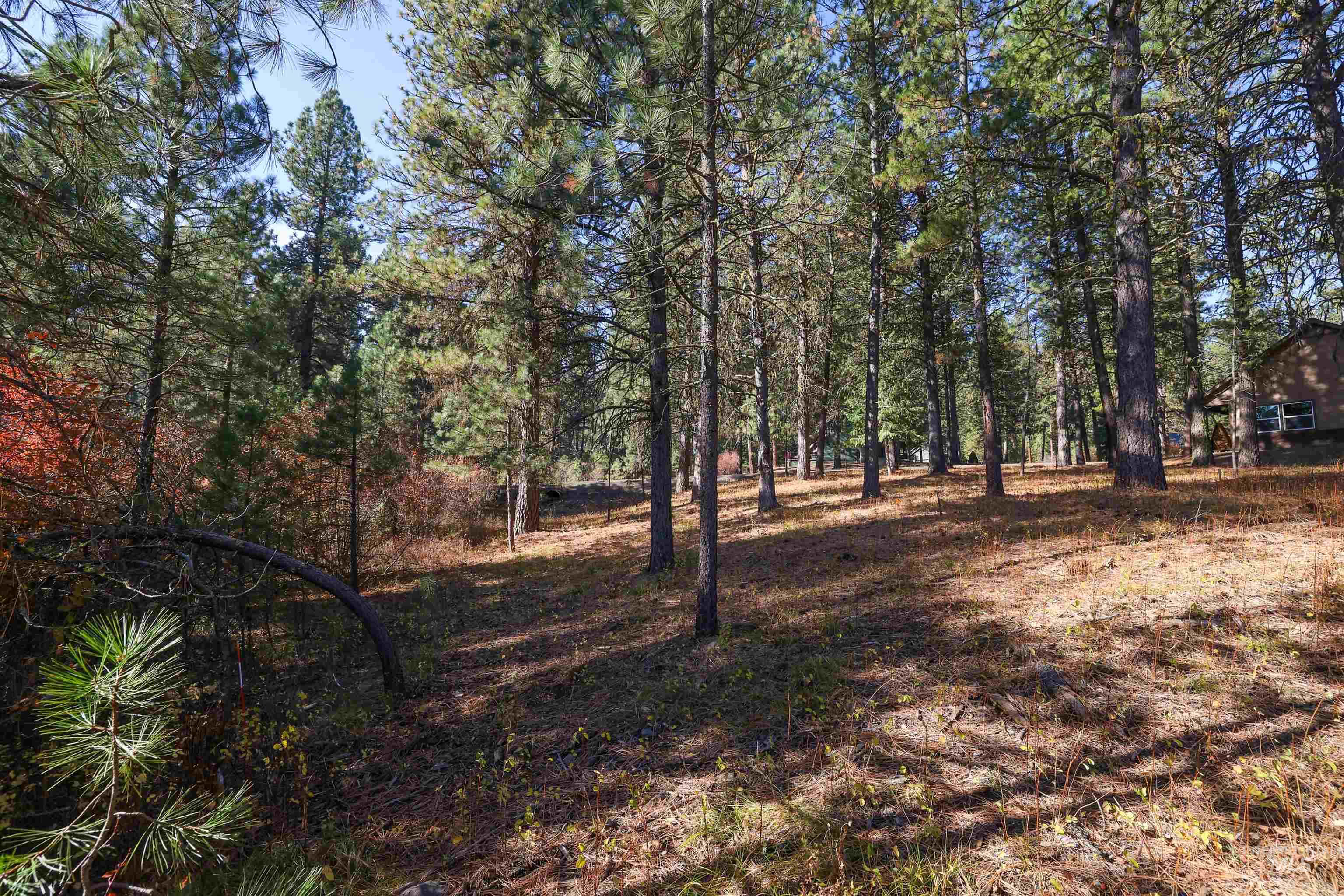TBD Columbine Drive, New Meadows, Idaho 83654, Land For Sale, Price $77,900,MLS 98965636