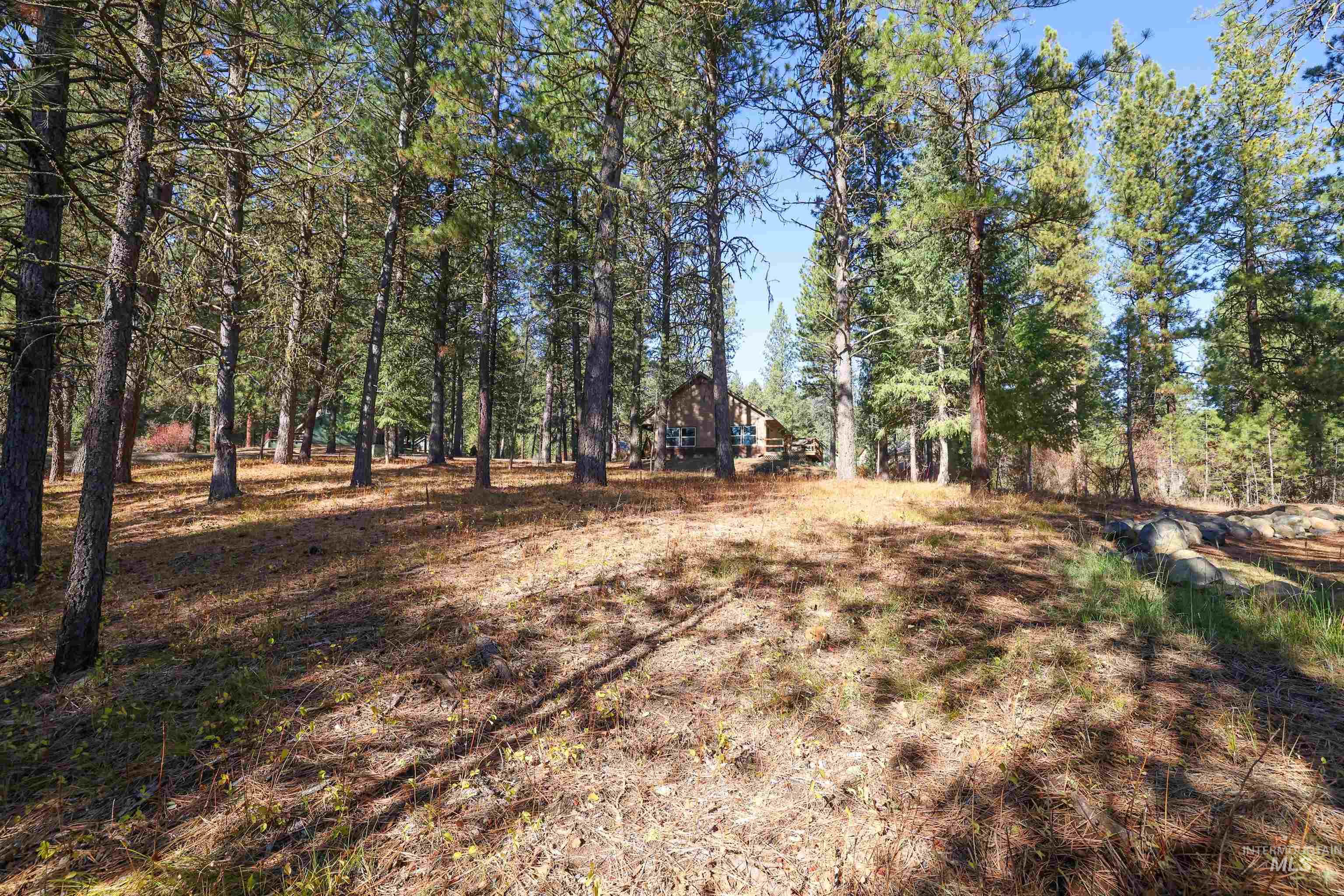 TBD Columbine Drive, New Meadows, Idaho 83654, Land For Sale, Price $77,900,MLS 98965636