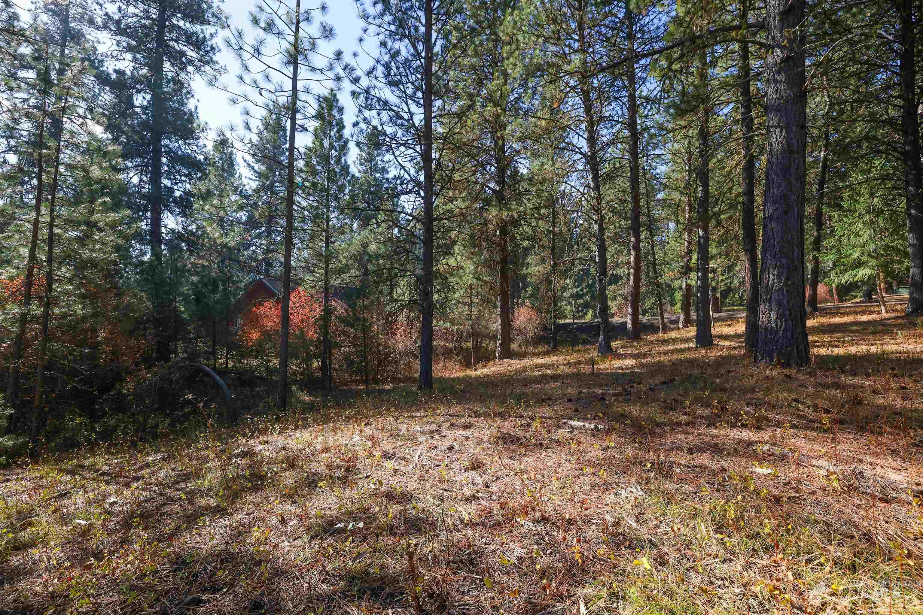 TBD Columbine Drive, New Meadows, Idaho 83654, Land For Sale, Price $77,900,MLS 98965636