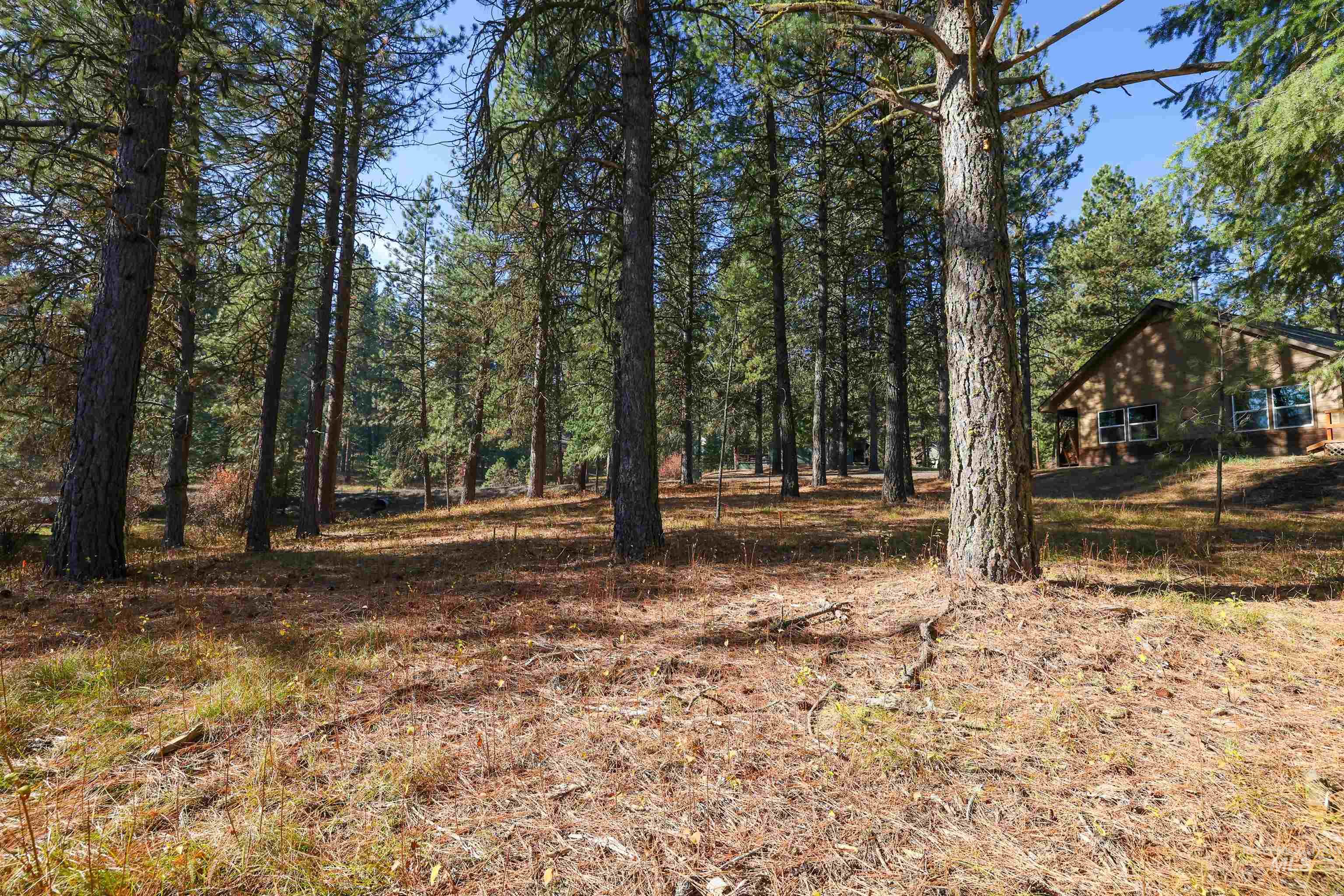 TBD Columbine Drive, New Meadows, Idaho 83654, Land For Sale, Price $77,900,MLS 98965636