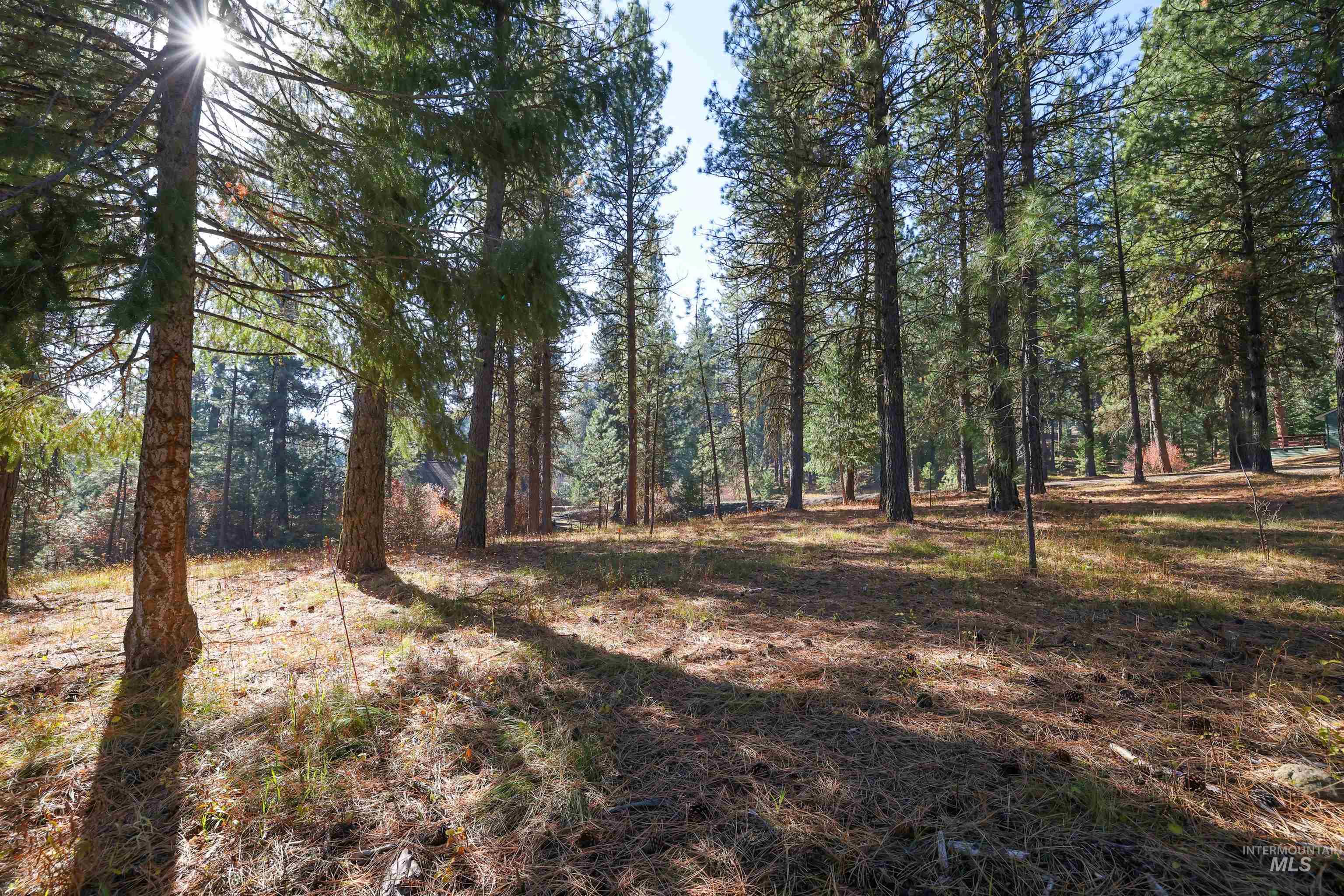 TBD Columbine Drive, New Meadows, Idaho 83654, Land For Sale, Price $77,900,MLS 98965636
