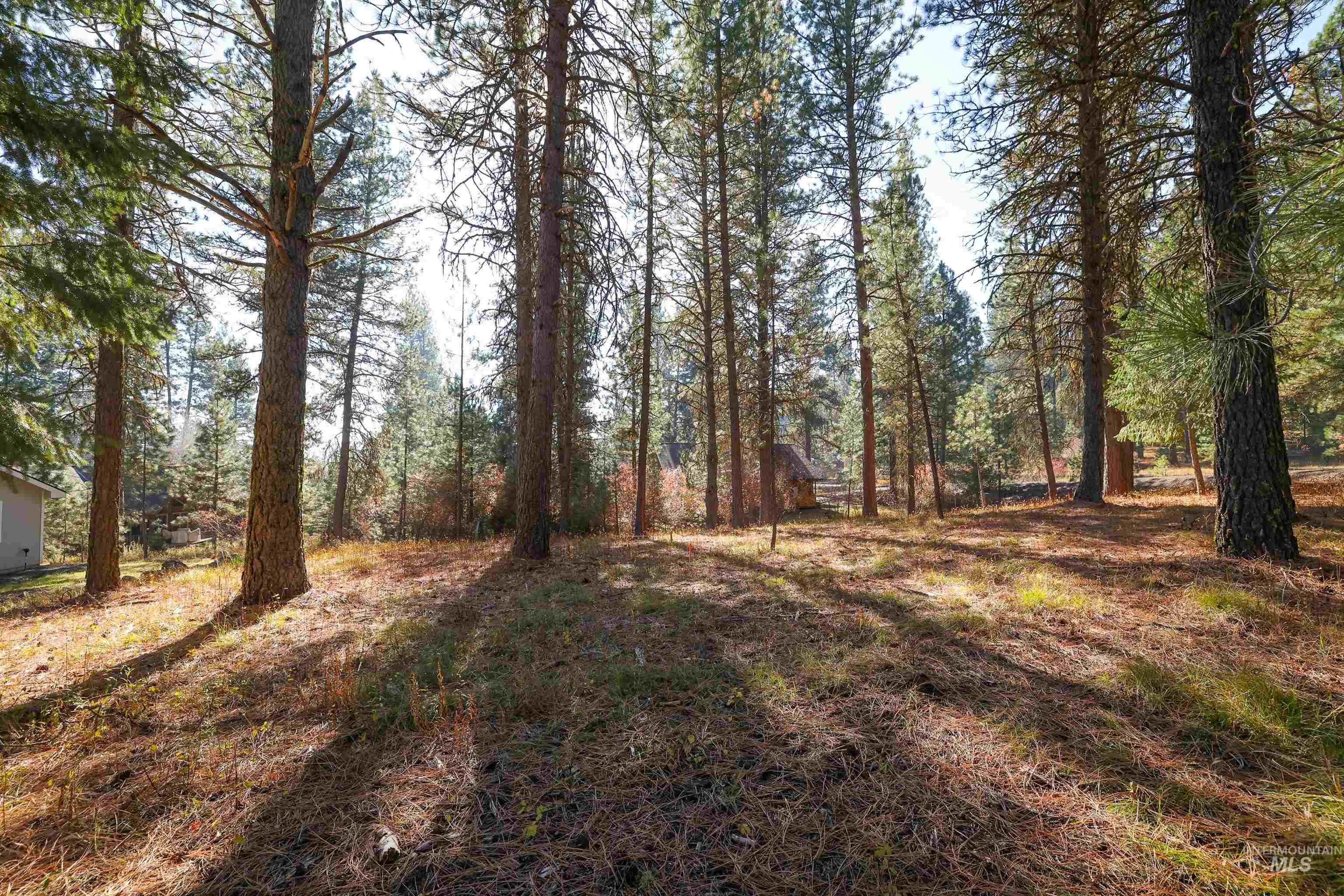 TBD Columbine Drive, New Meadows, Idaho 83654, Land For Sale, Price $77,900,MLS 98965636