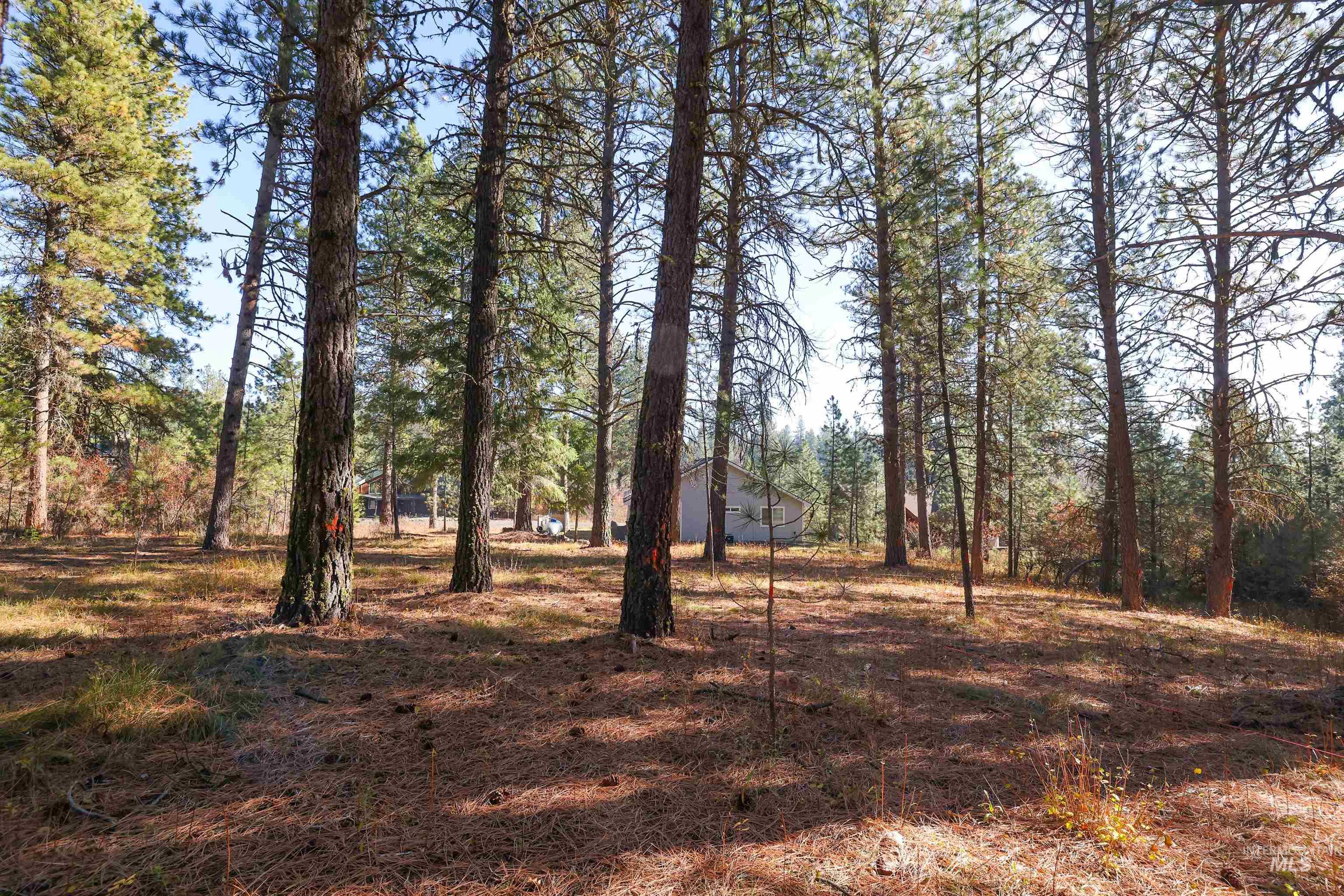 TBD Columbine Drive, New Meadows, Idaho 83654, Land For Sale, Price $77,900,MLS 98965636