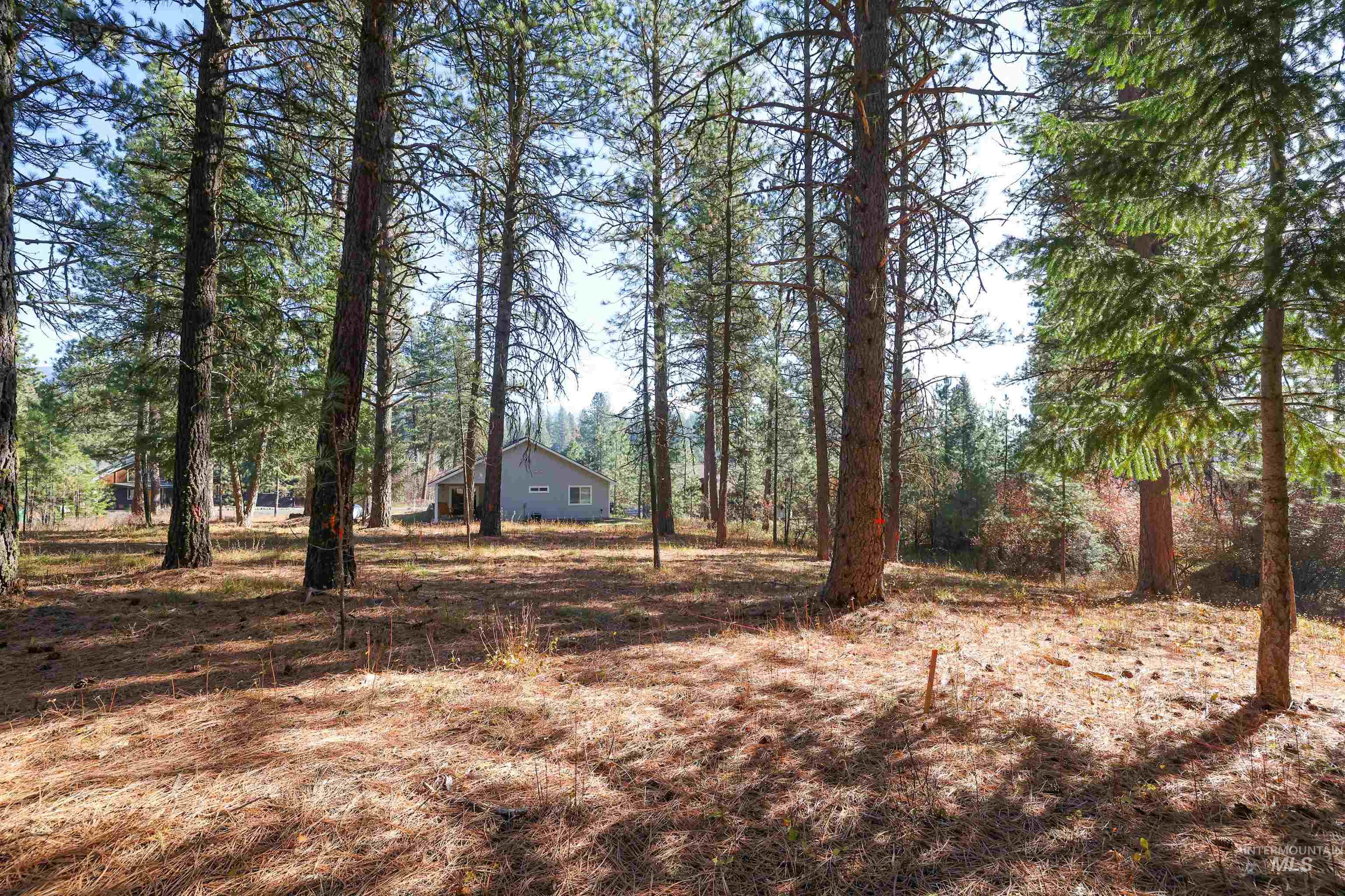 TBD Columbine Drive, New Meadows, Idaho 83654, Land For Sale, Price $77,900,MLS 98965636