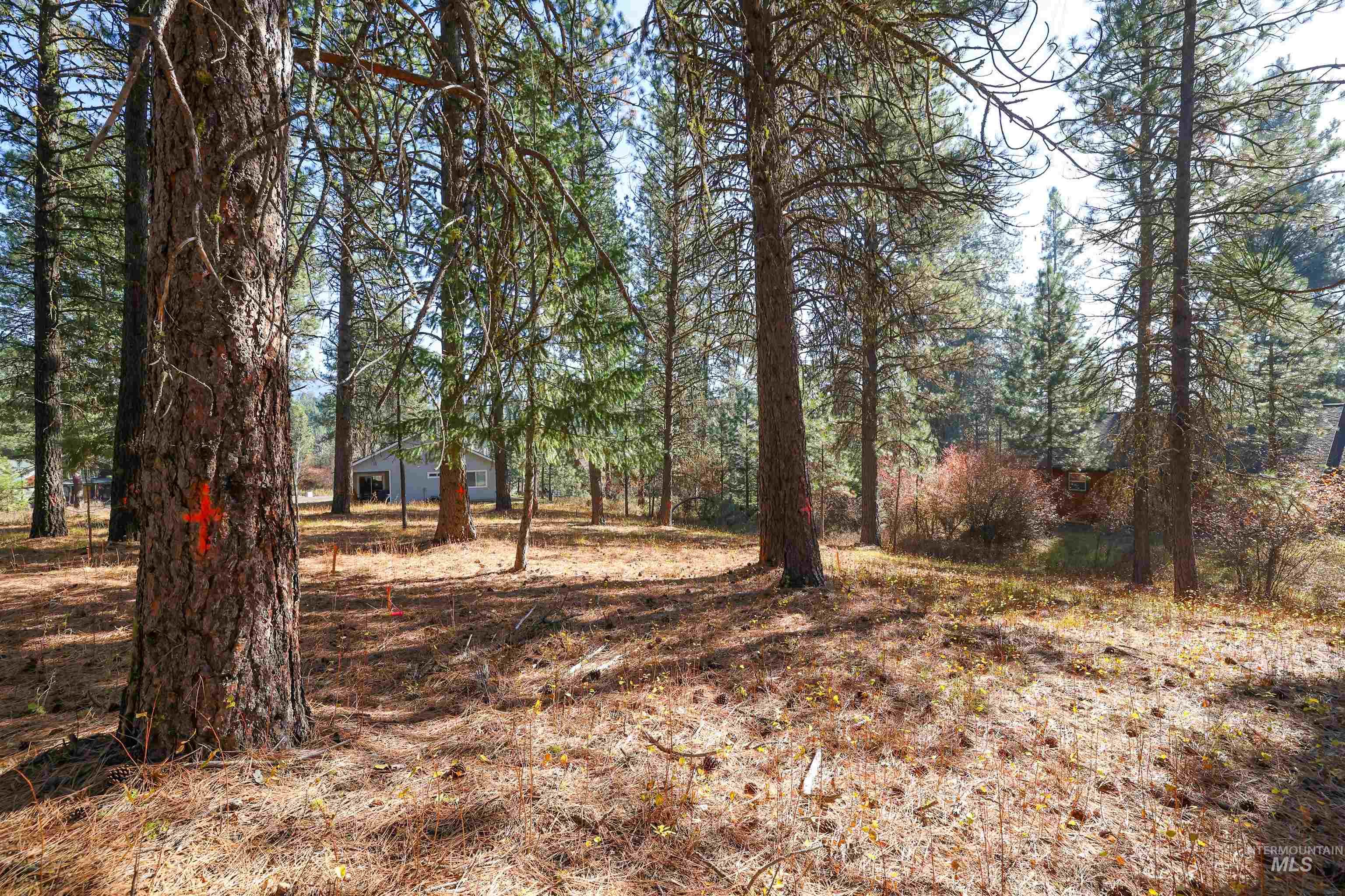 TBD Columbine Drive, New Meadows, Idaho 83654, Land For Sale, Price $77,900,MLS 98965636