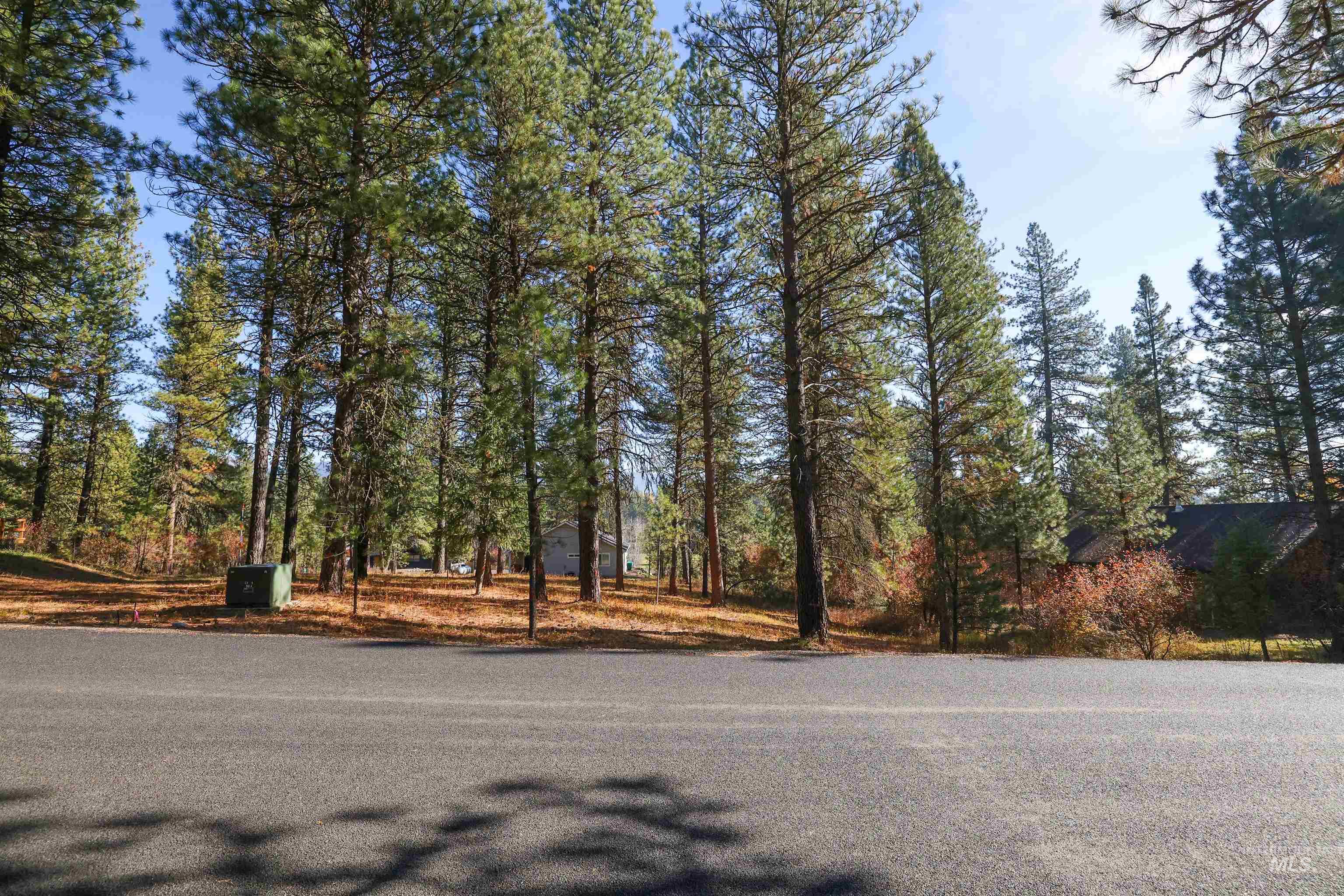 TBD Columbine Drive, New Meadows, Idaho 83654, Land For Sale, Price $77,900,MLS 98965636