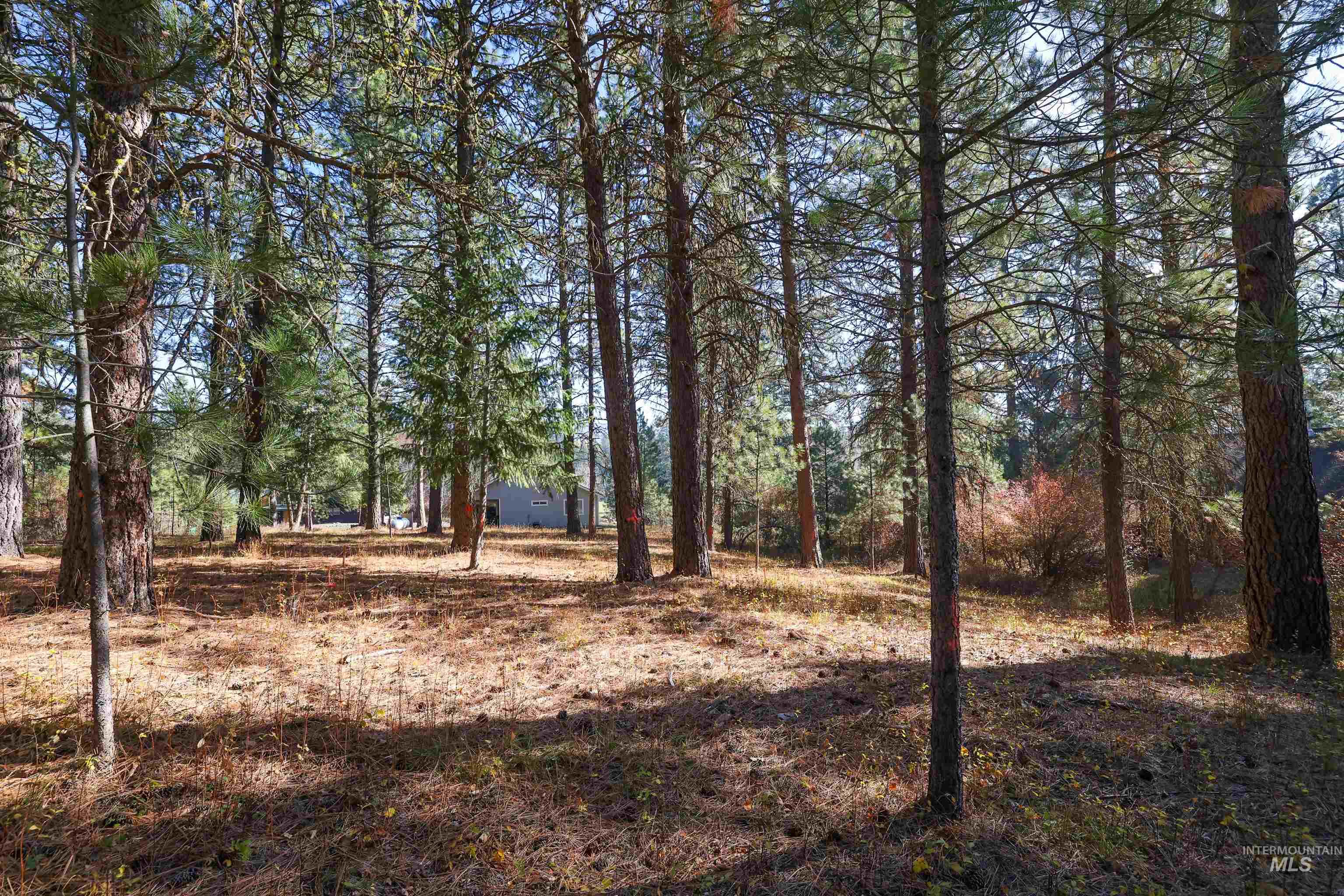 TBD Columbine Drive, New Meadows, Idaho 83654, Land For Sale, Price $77,900,MLS 98965636