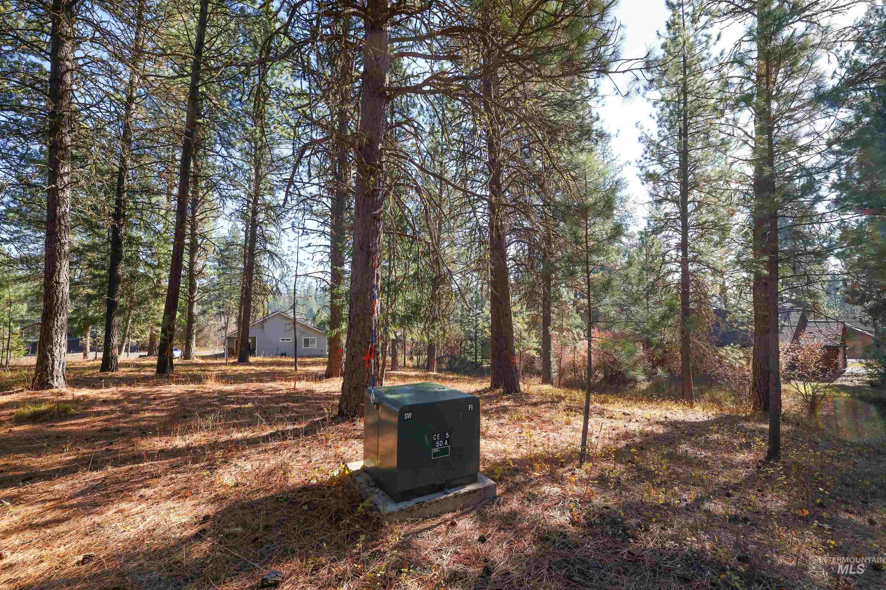 TBD Columbine Drive, New Meadows, Idaho 83654, Land For Sale, Price $77,900,MLS 98965636