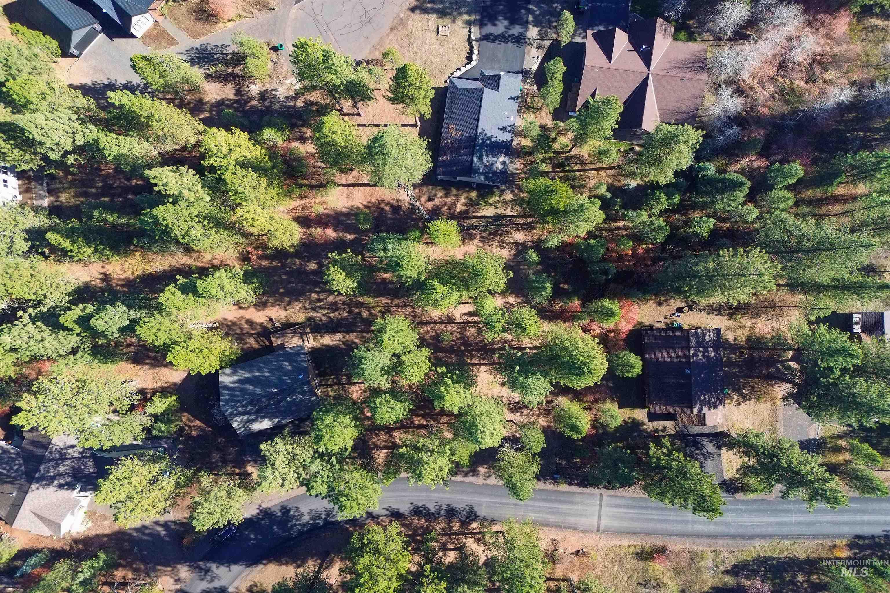 TBD Columbine Drive, New Meadows, Idaho 83654, Land For Sale, Price $77,900,MLS 98965636