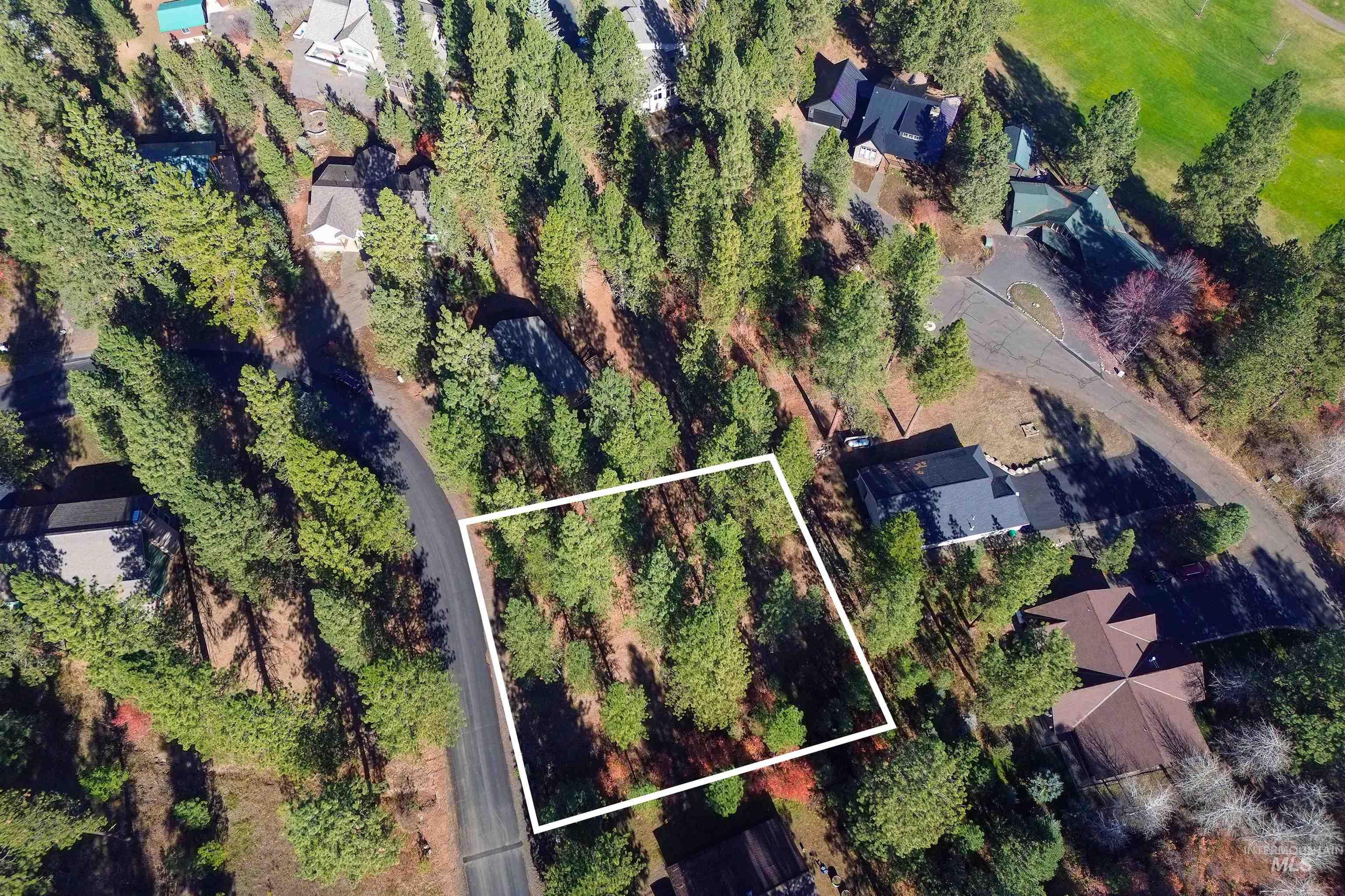 TBD Columbine Drive, New Meadows, Idaho 83654, Land For Sale, Price $77,900,MLS 98965636