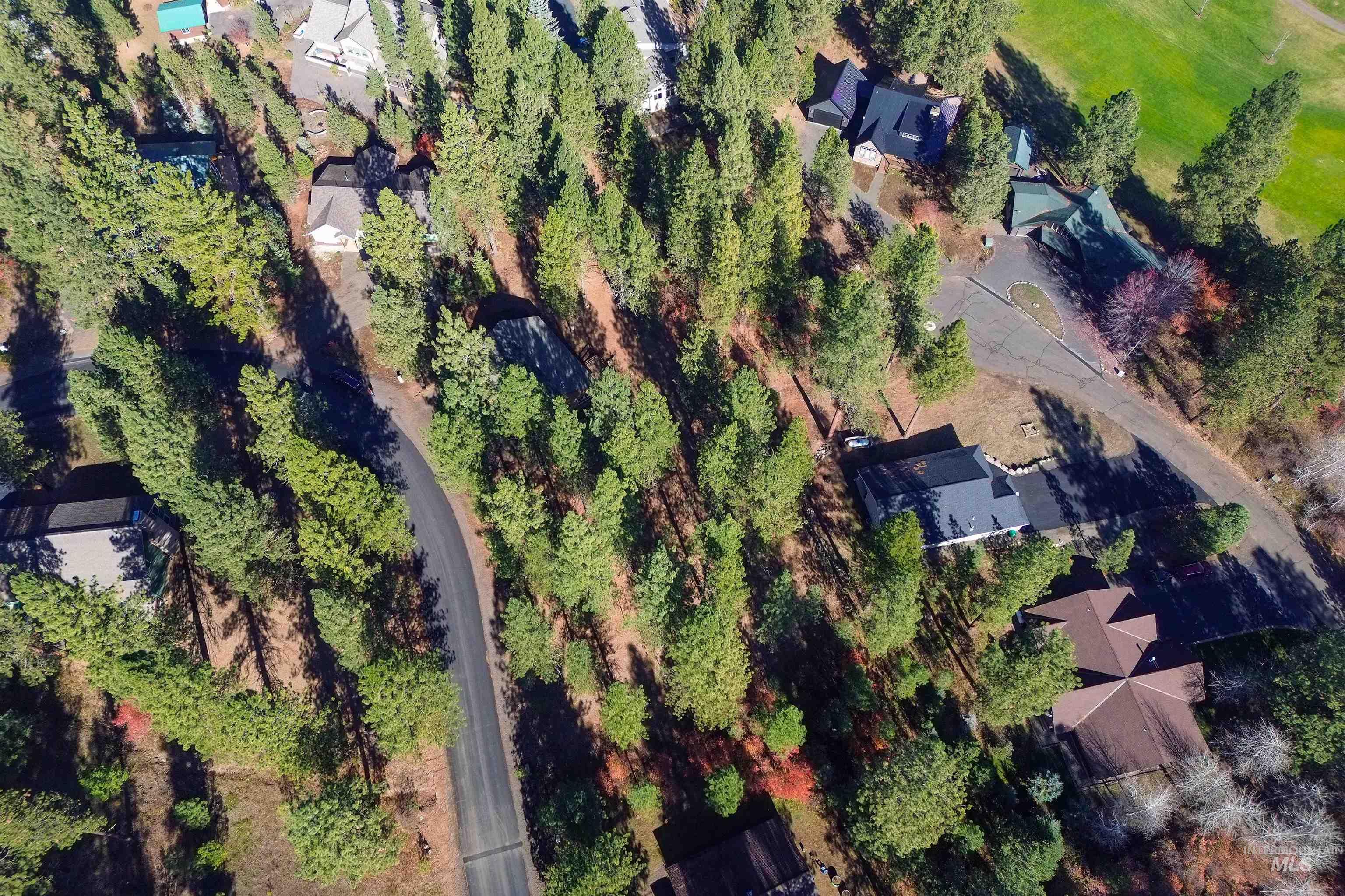 TBD Columbine Drive, New Meadows, Idaho 83654, Land For Sale, Price $77,900,MLS 98965636