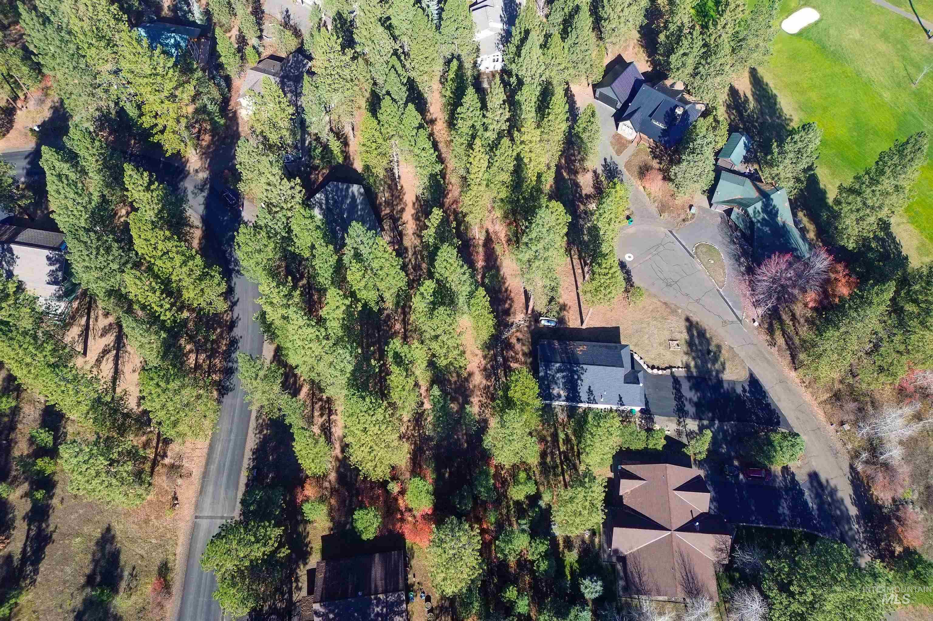 TBD Columbine Drive, New Meadows, Idaho 83654, Land For Sale, Price $77,900,MLS 98965636