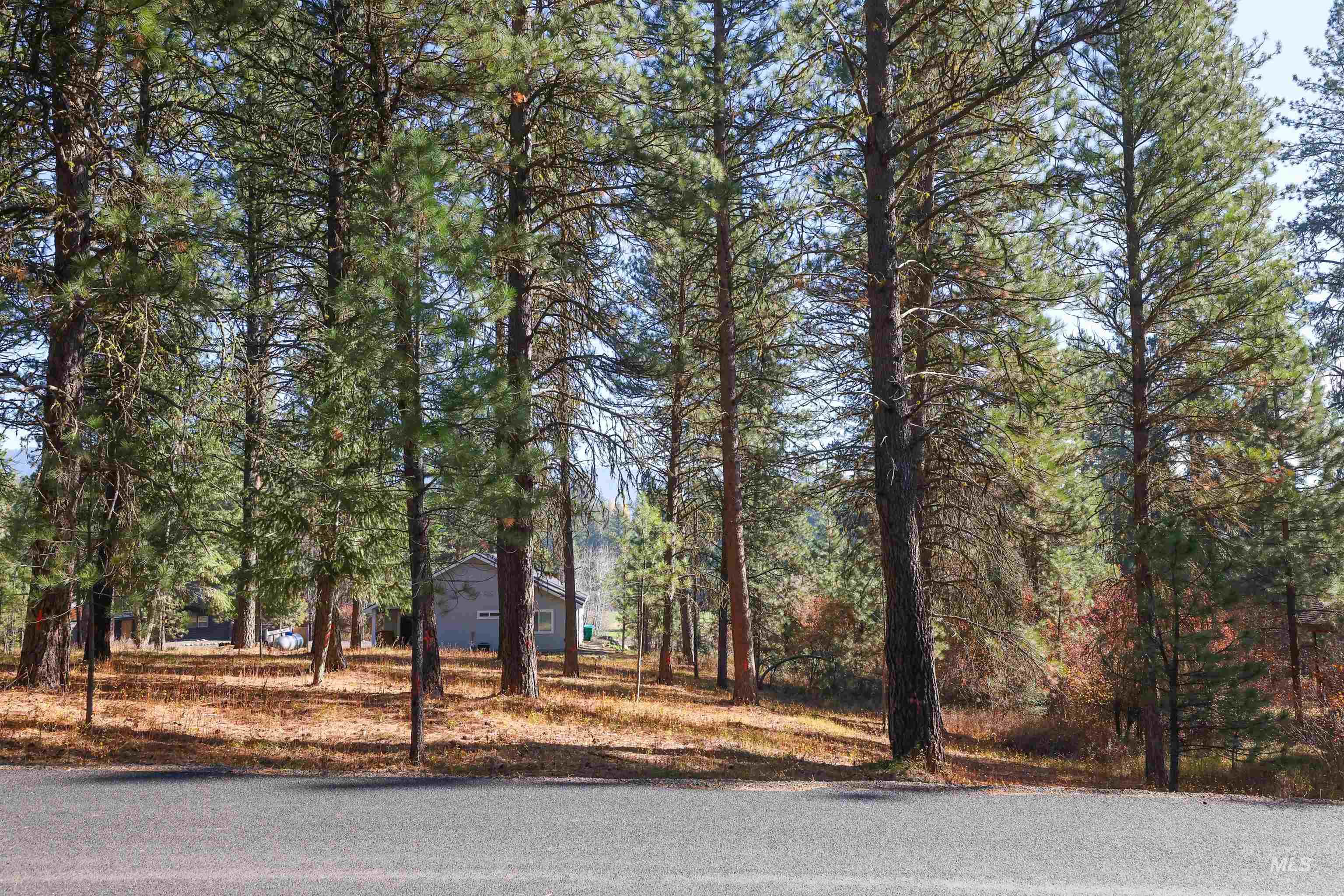TBD Columbine Drive, New Meadows, Idaho 83654, Land For Sale, Price $77,900,MLS 98965636