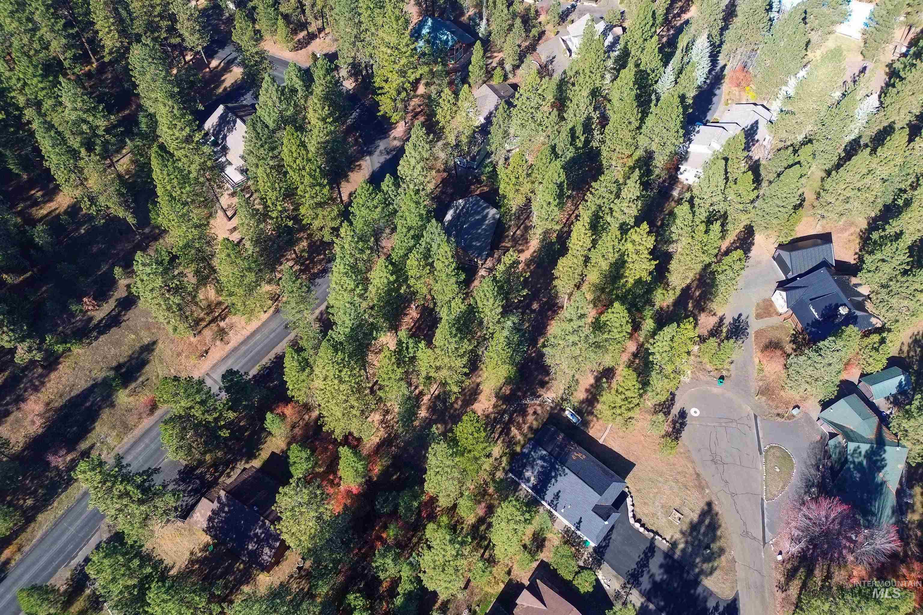 TBD Columbine Drive, New Meadows, Idaho 83654, Land For Sale, Price $77,900,MLS 98965636