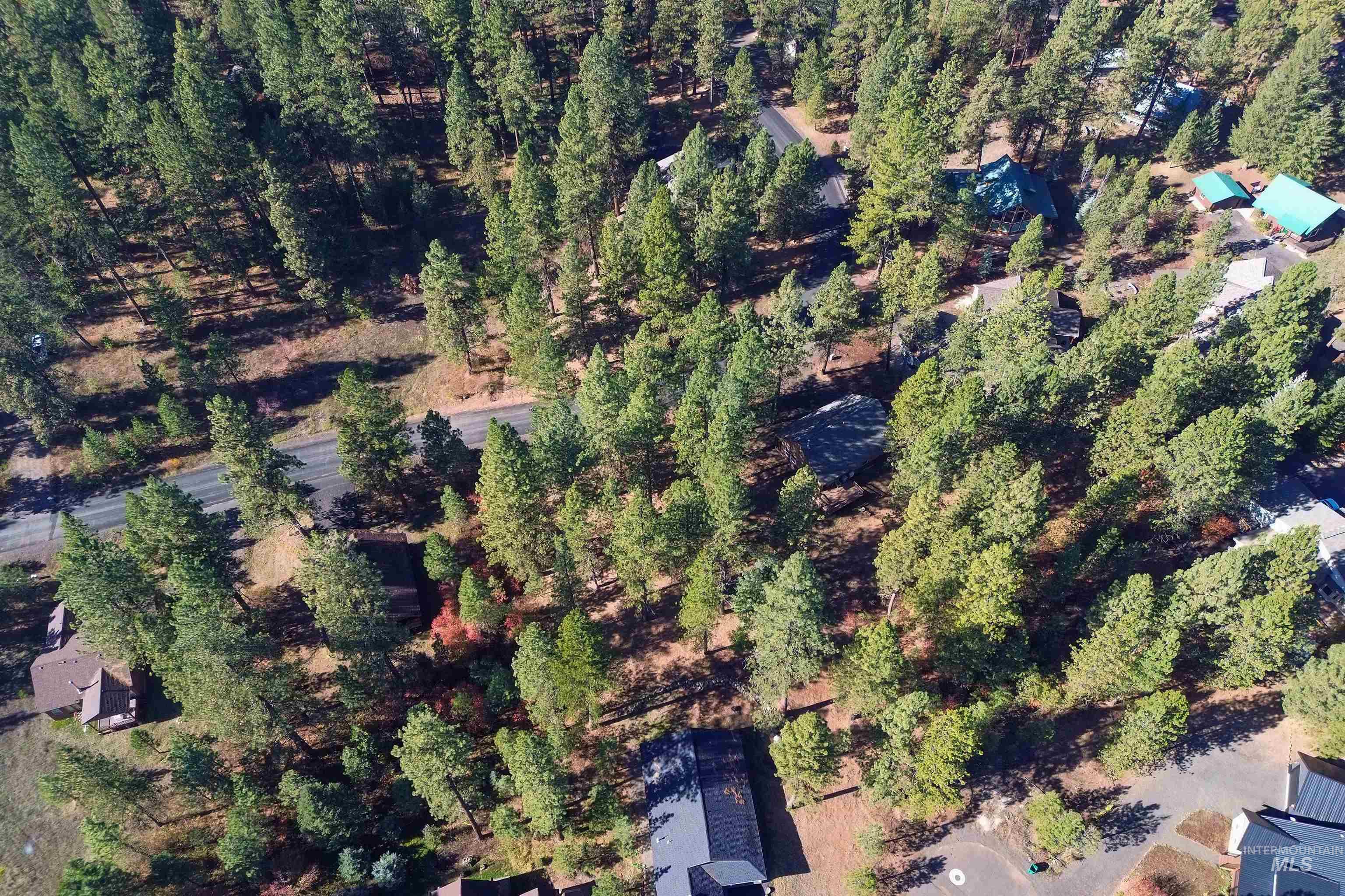 TBD Columbine Drive, New Meadows, Idaho 83654, Land For Sale, Price $77,900,MLS 98965636