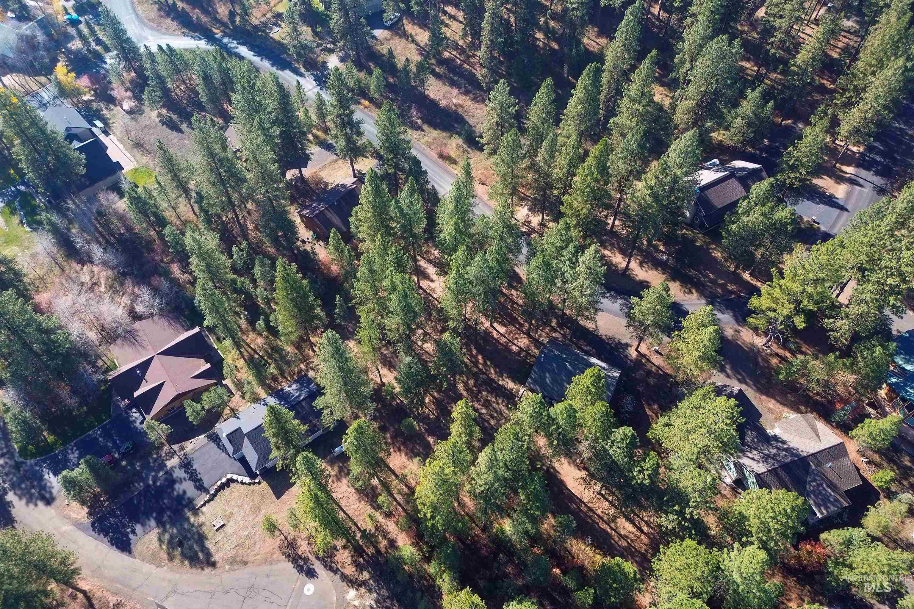 TBD Columbine Drive, New Meadows, Idaho 83654, Land For Sale, Price $77,900,MLS 98965636