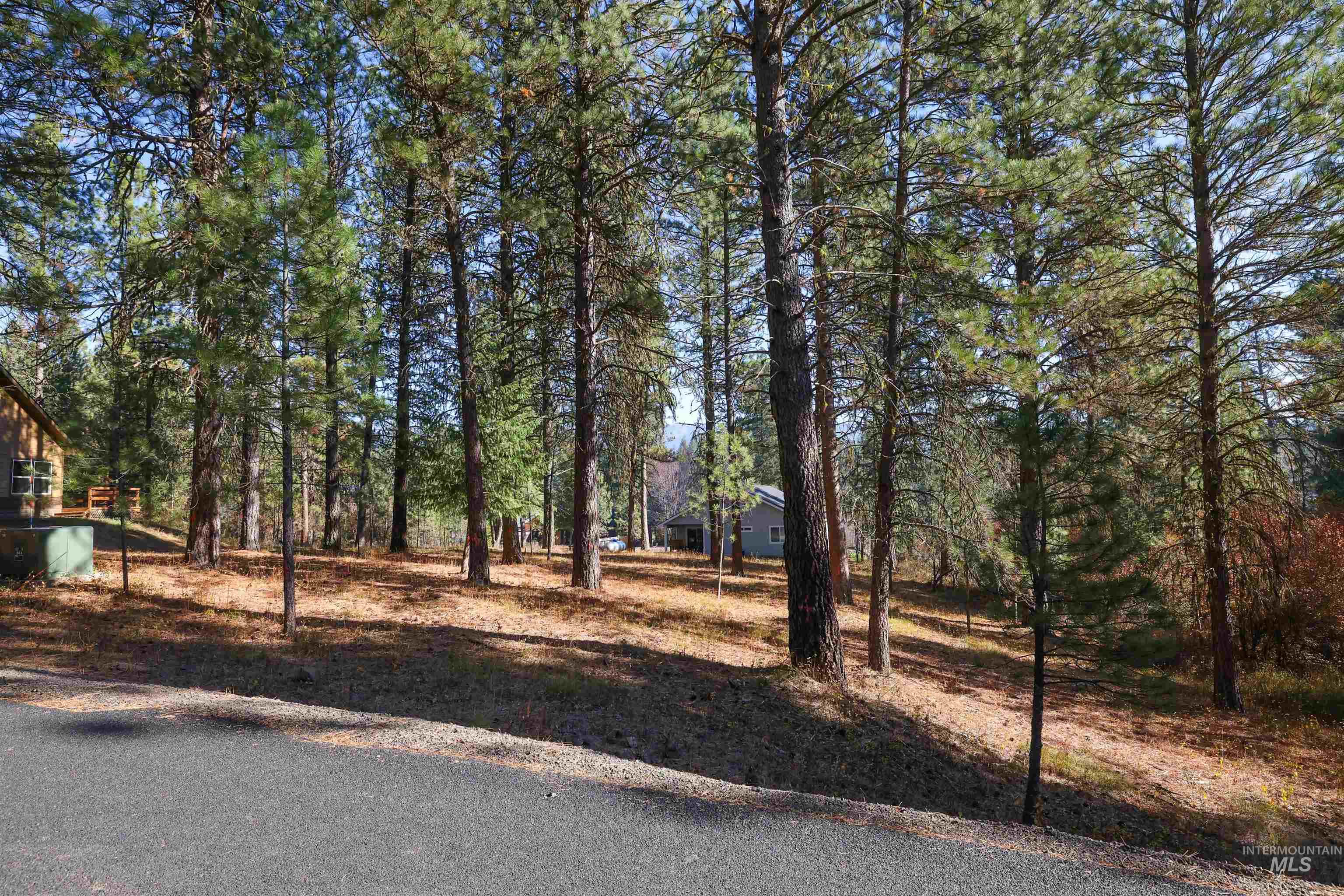 TBD Columbine Drive, New Meadows, Idaho 83654, Land For Sale, Price $77,900,MLS 98965636