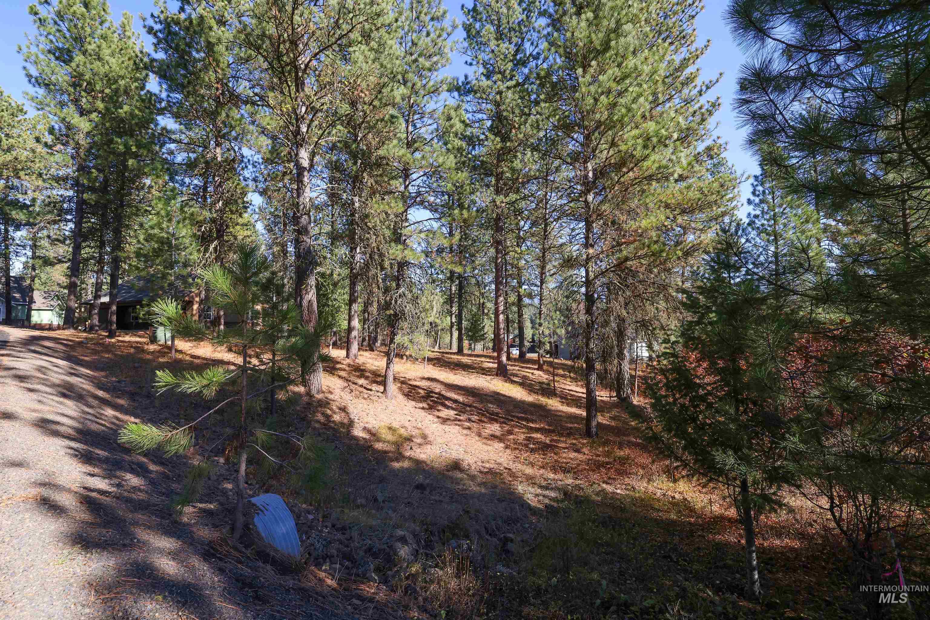 TBD Columbine Drive, New Meadows, Idaho 83654, Land For Sale, Price $77,900,MLS 98965636