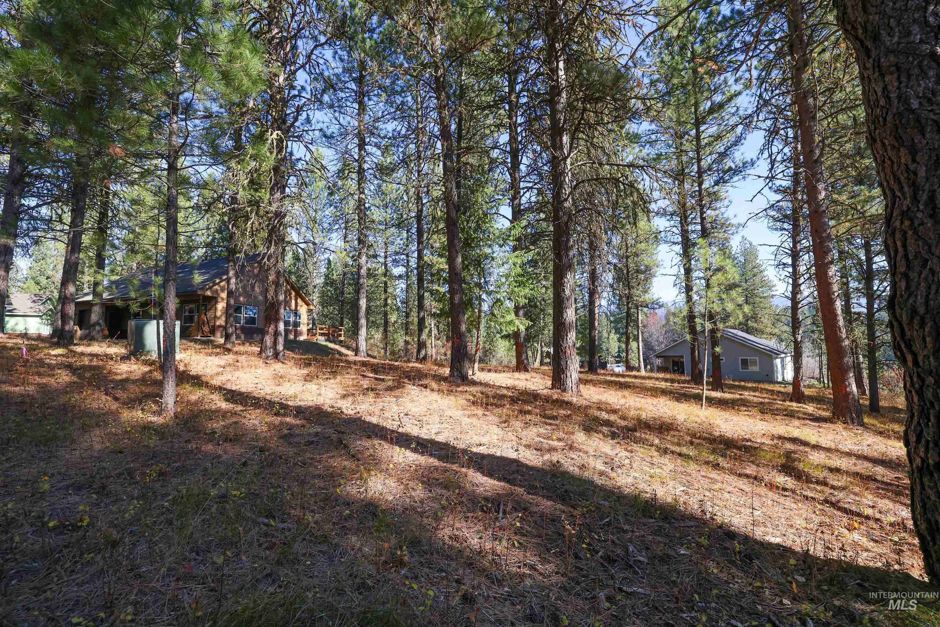 TBD Columbine Drive, New Meadows, Idaho 83654, Land For Sale, Price $77,900,MLS 98965636