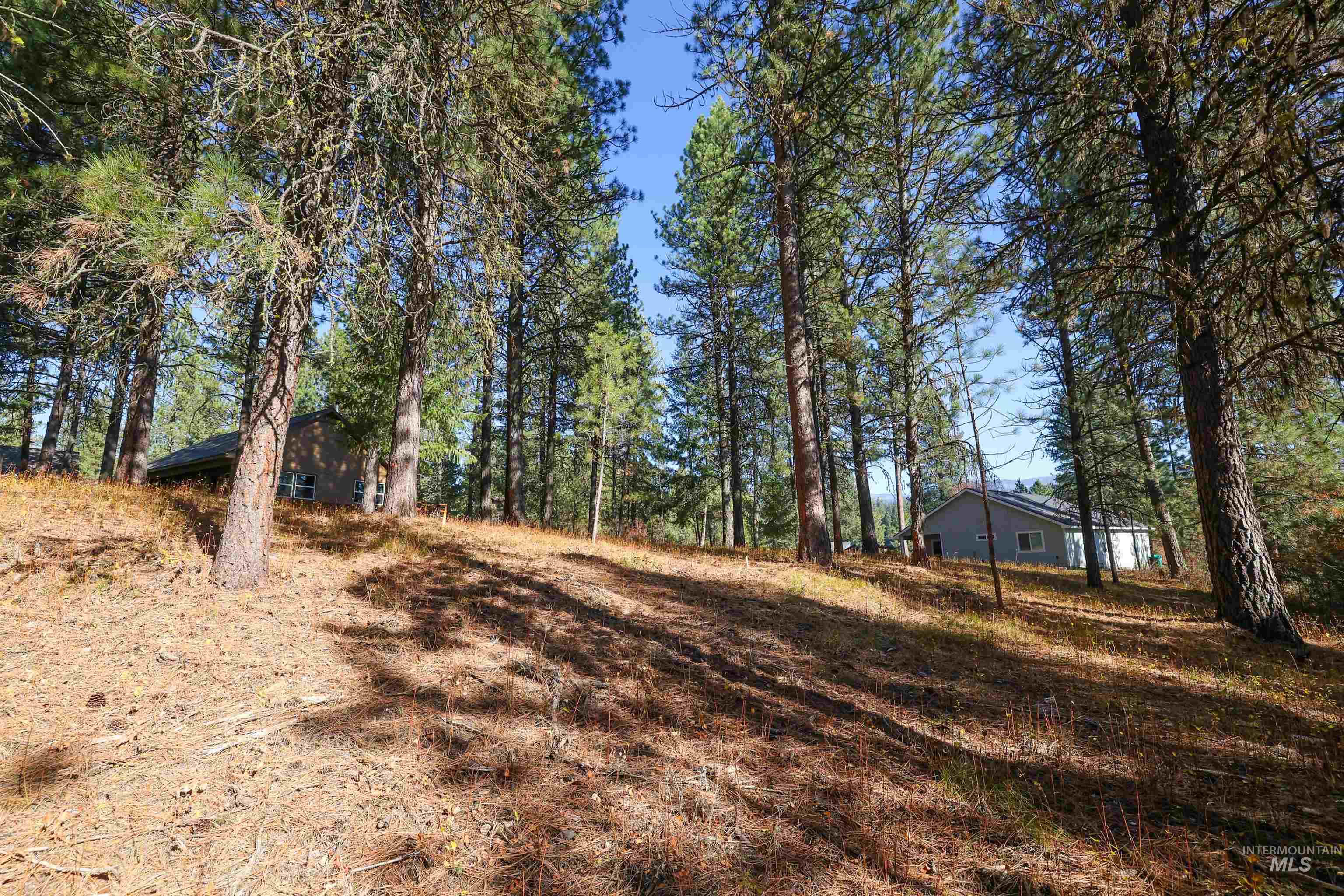TBD Columbine Drive, New Meadows, Idaho 83654, Land For Sale, Price $77,900,MLS 98965636