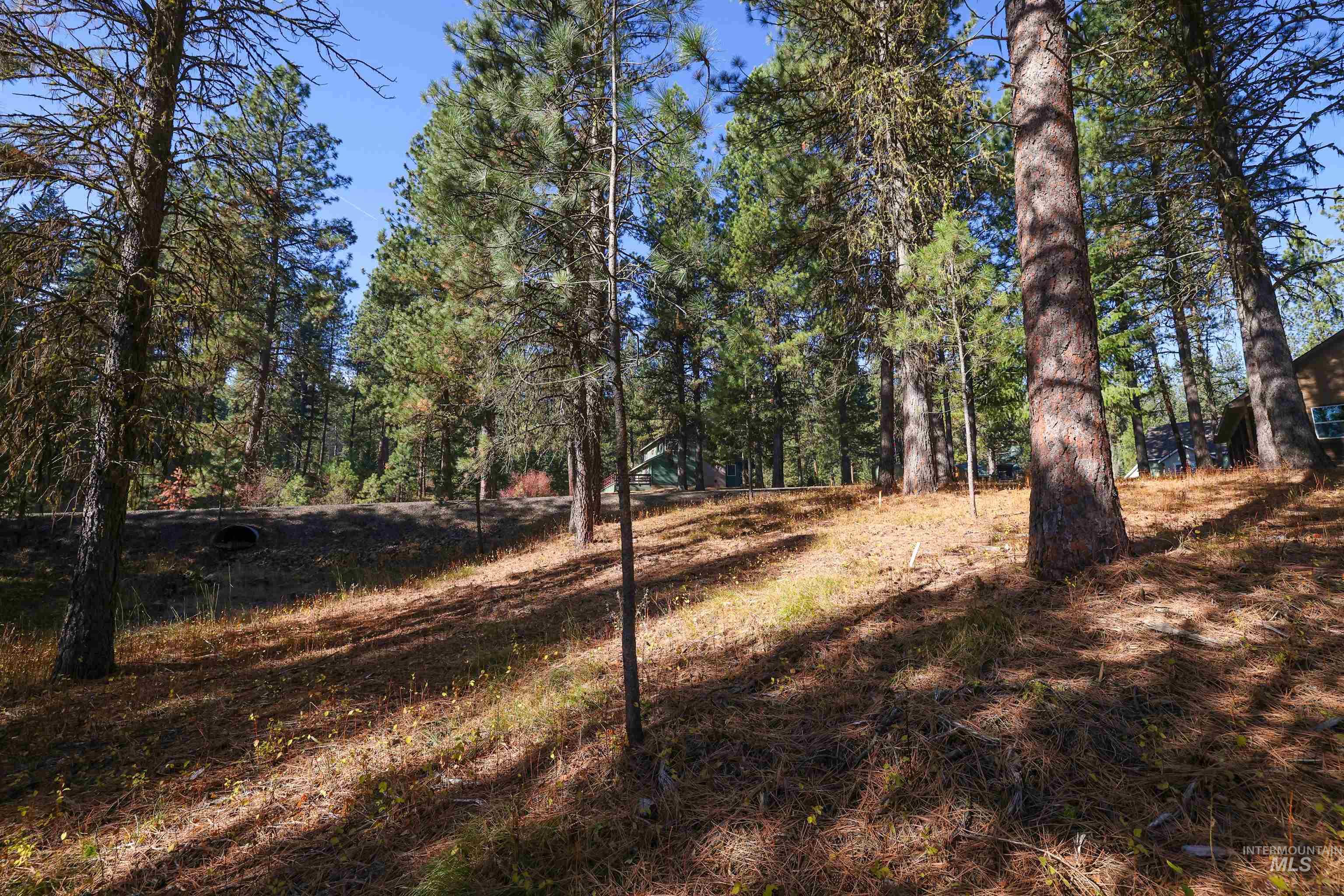 TBD Columbine Drive, New Meadows, Idaho 83654, Land For Sale, Price $77,900,MLS 98965636