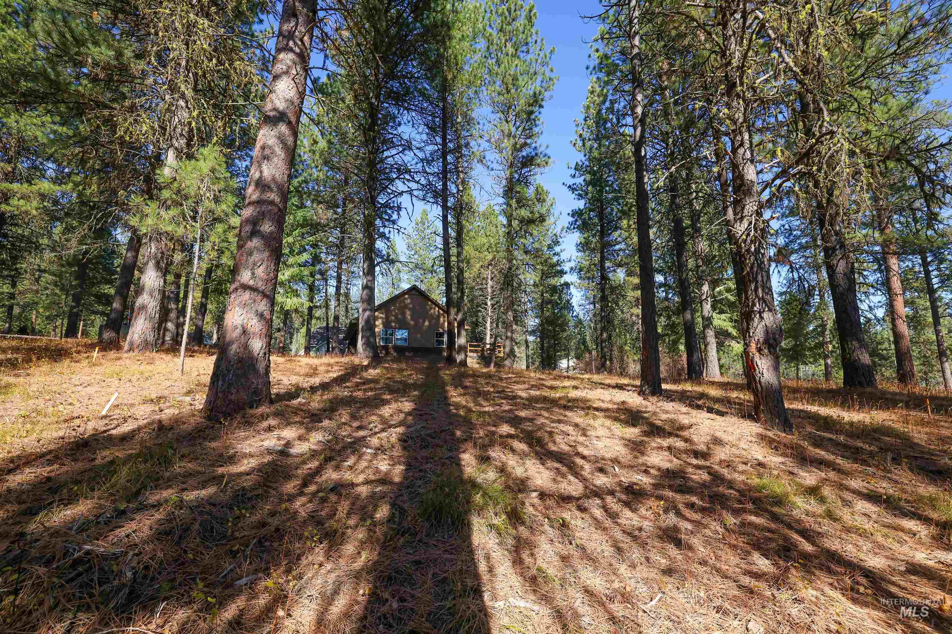 TBD Columbine Drive, New Meadows, Idaho 83654, Land For Sale, Price $77,900,MLS 98965636