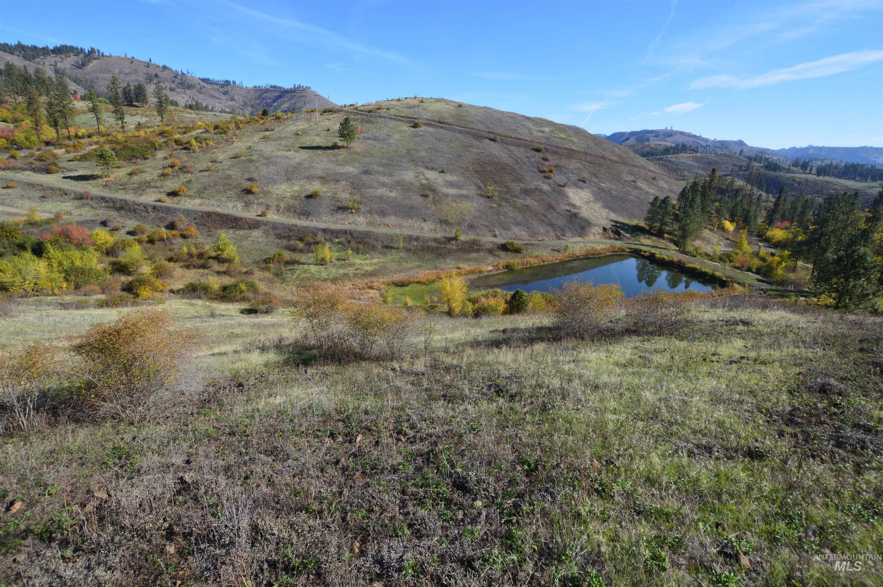 TBD N Glenwood, Kamiah, Idaho 83536, Land For Sale, Price $195,000, 98965665