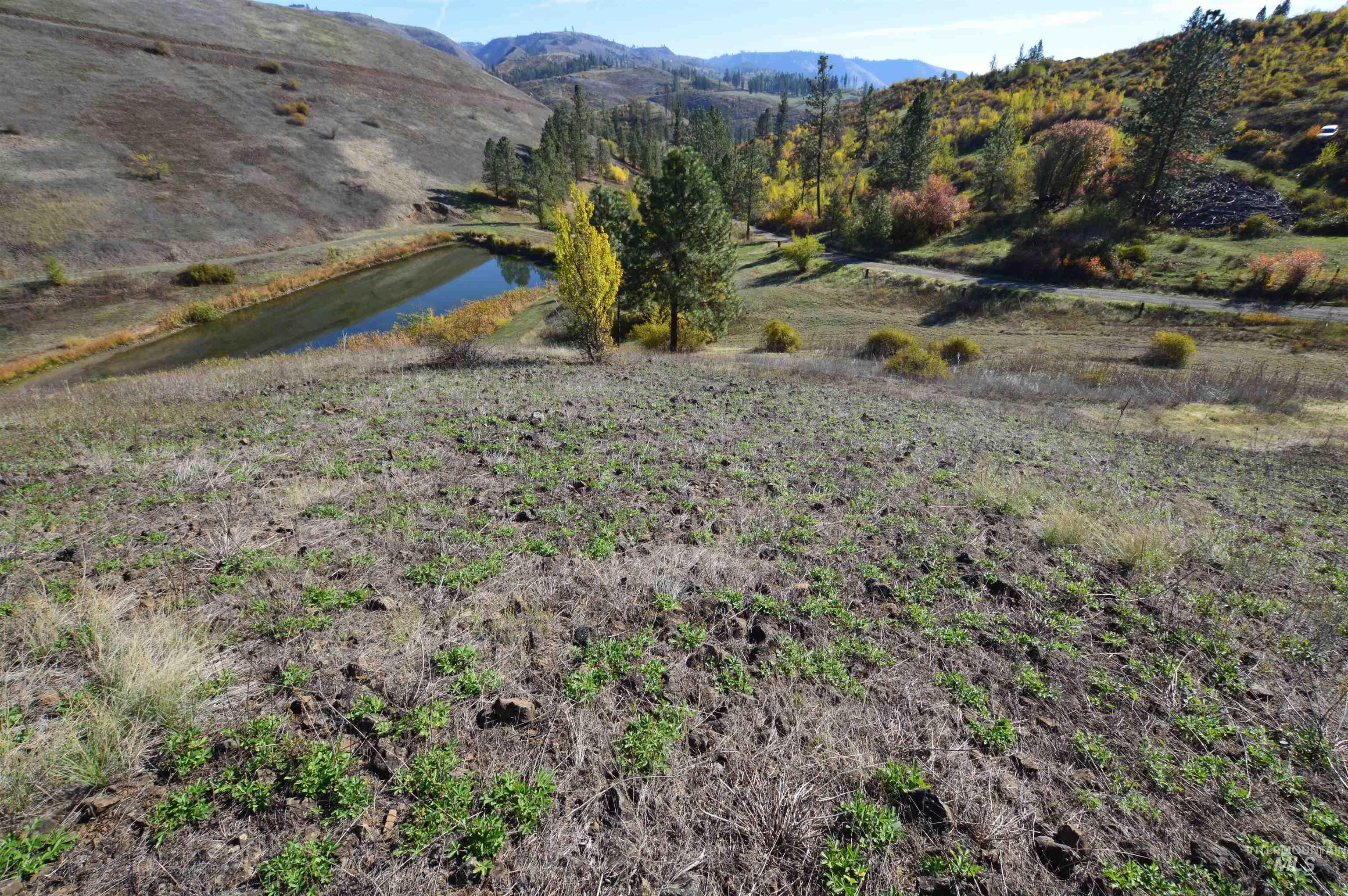 TBD N Glenwood, Kamiah, Idaho 83536, Land For Sale, Price $195,000, 98965665