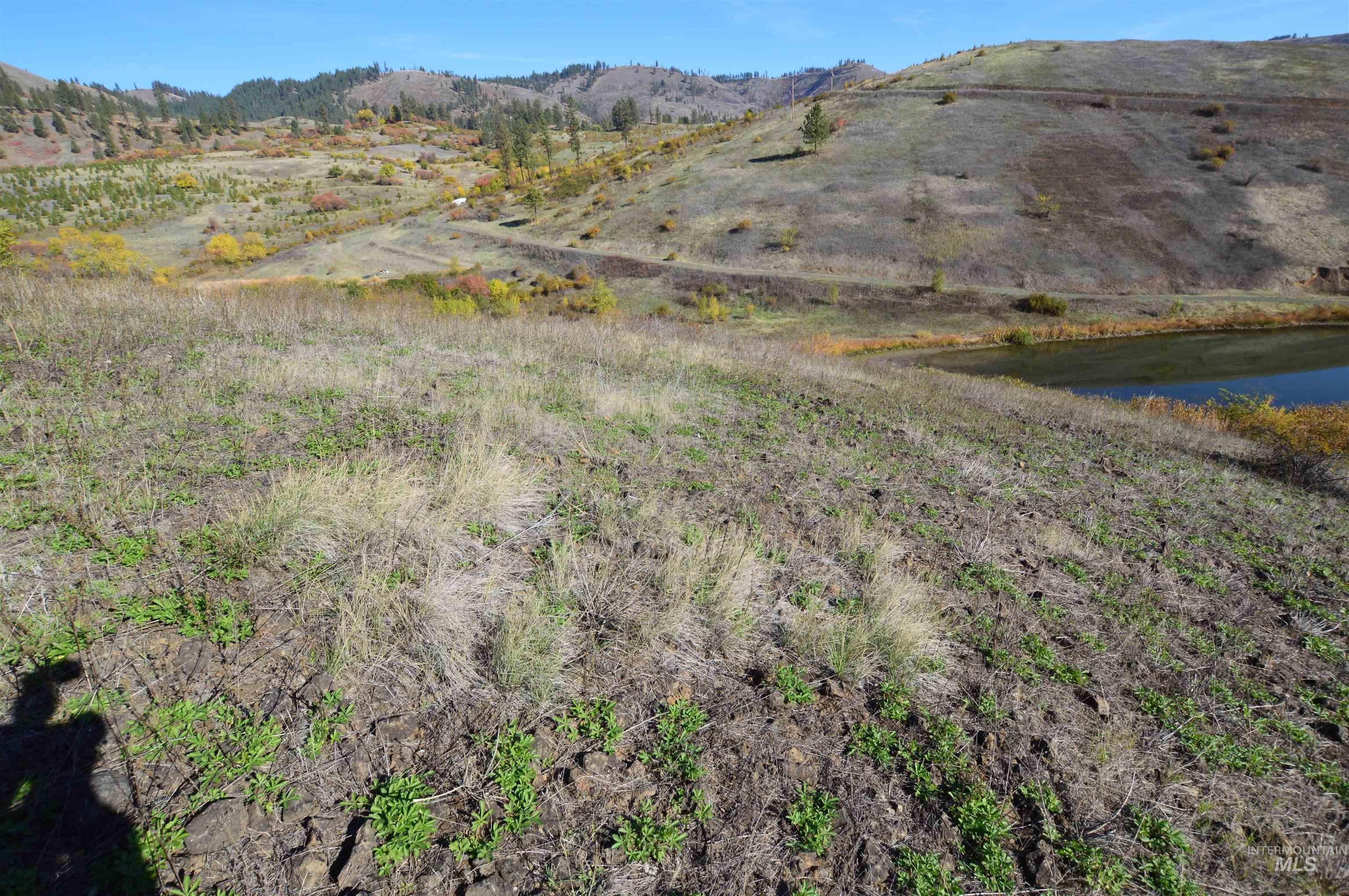 TBD N Glenwood, Kamiah, Idaho 83536, Land For Sale, Price $195,000, 98965665