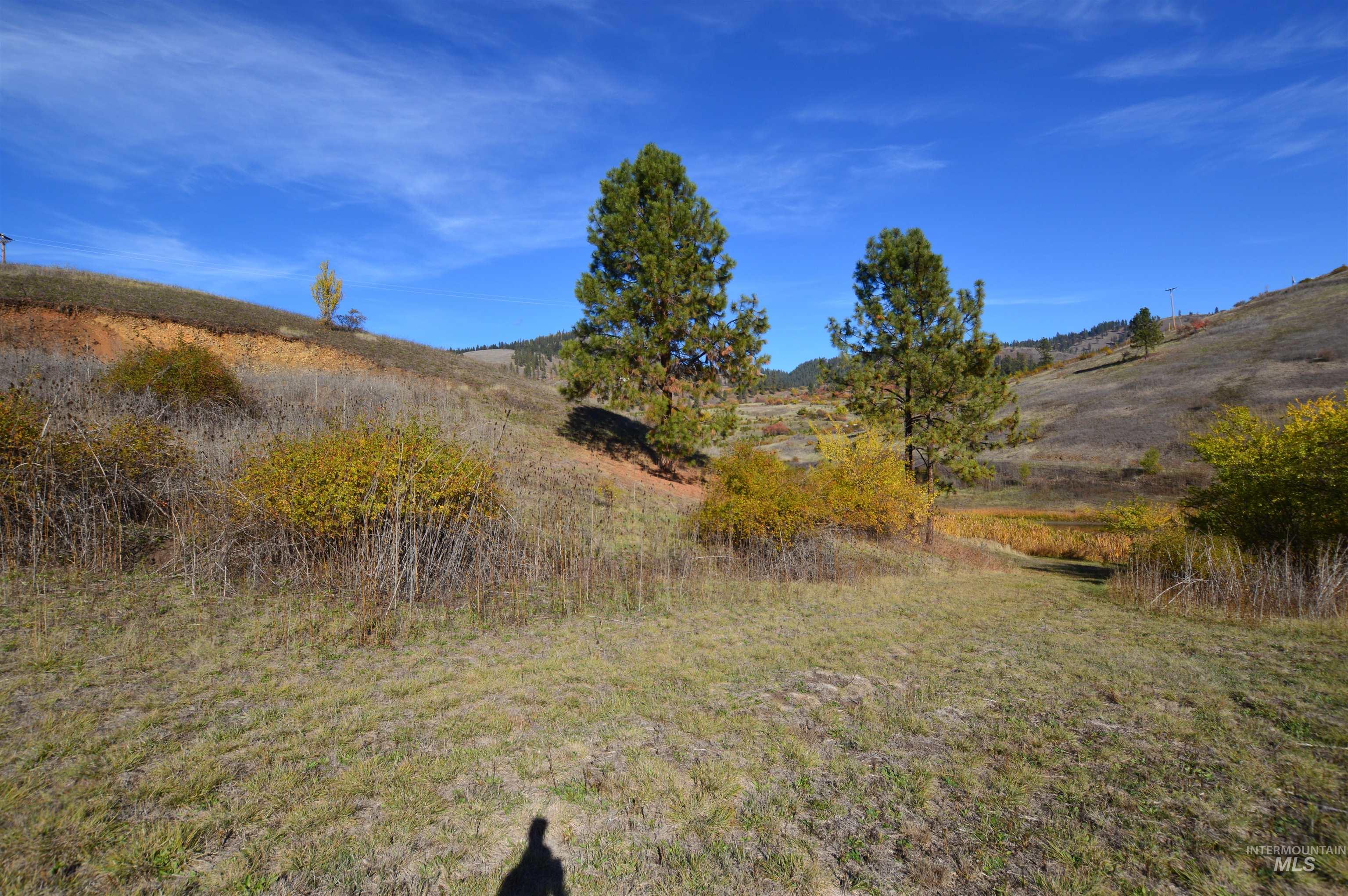 TBD N Glenwood, Kamiah, Idaho 83536, Land For Sale, Price $195,000, 98965665