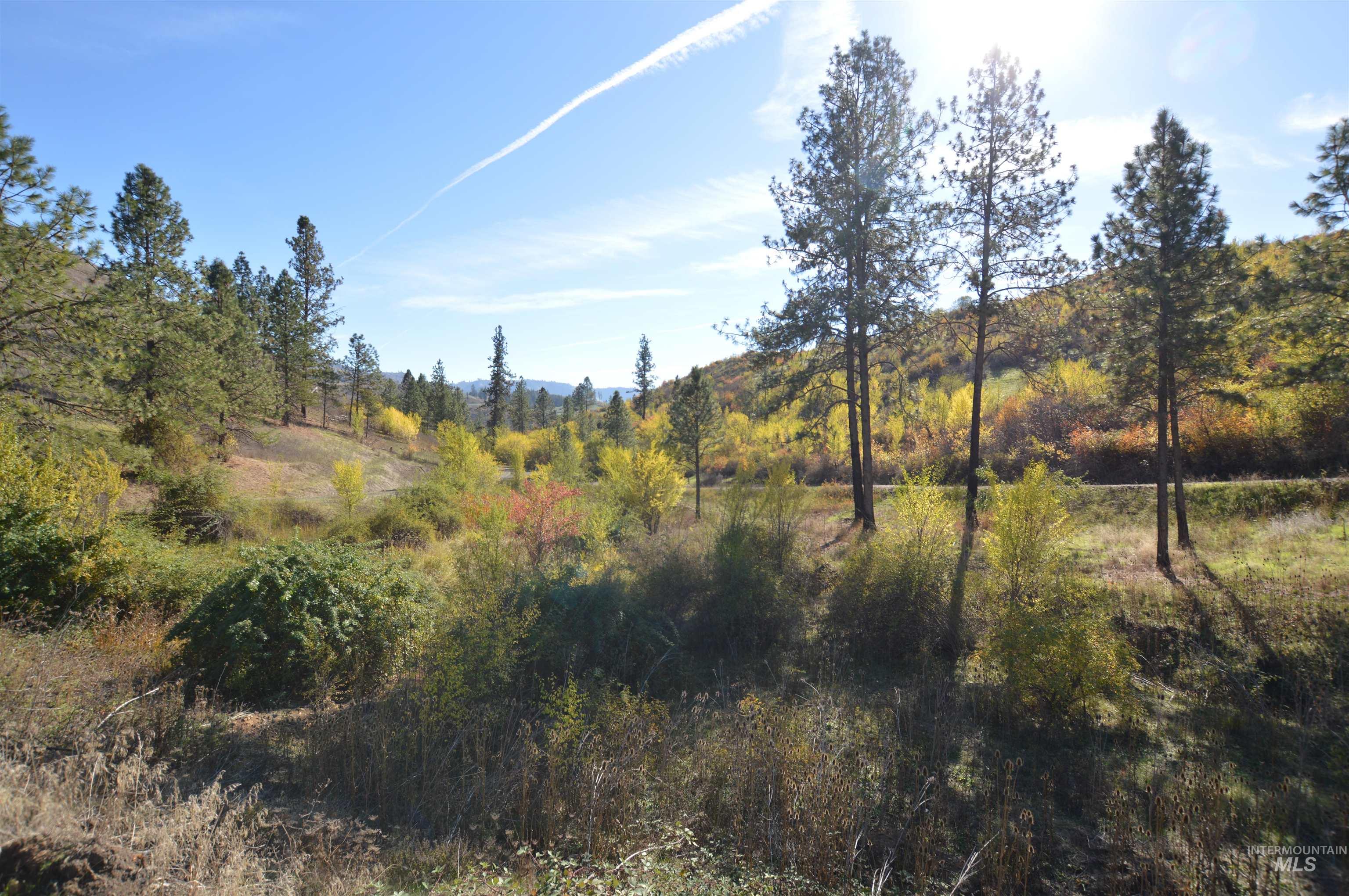 TBD N Glenwood, Kamiah, Idaho 83536, Land For Sale, Price $195,000, 98965665