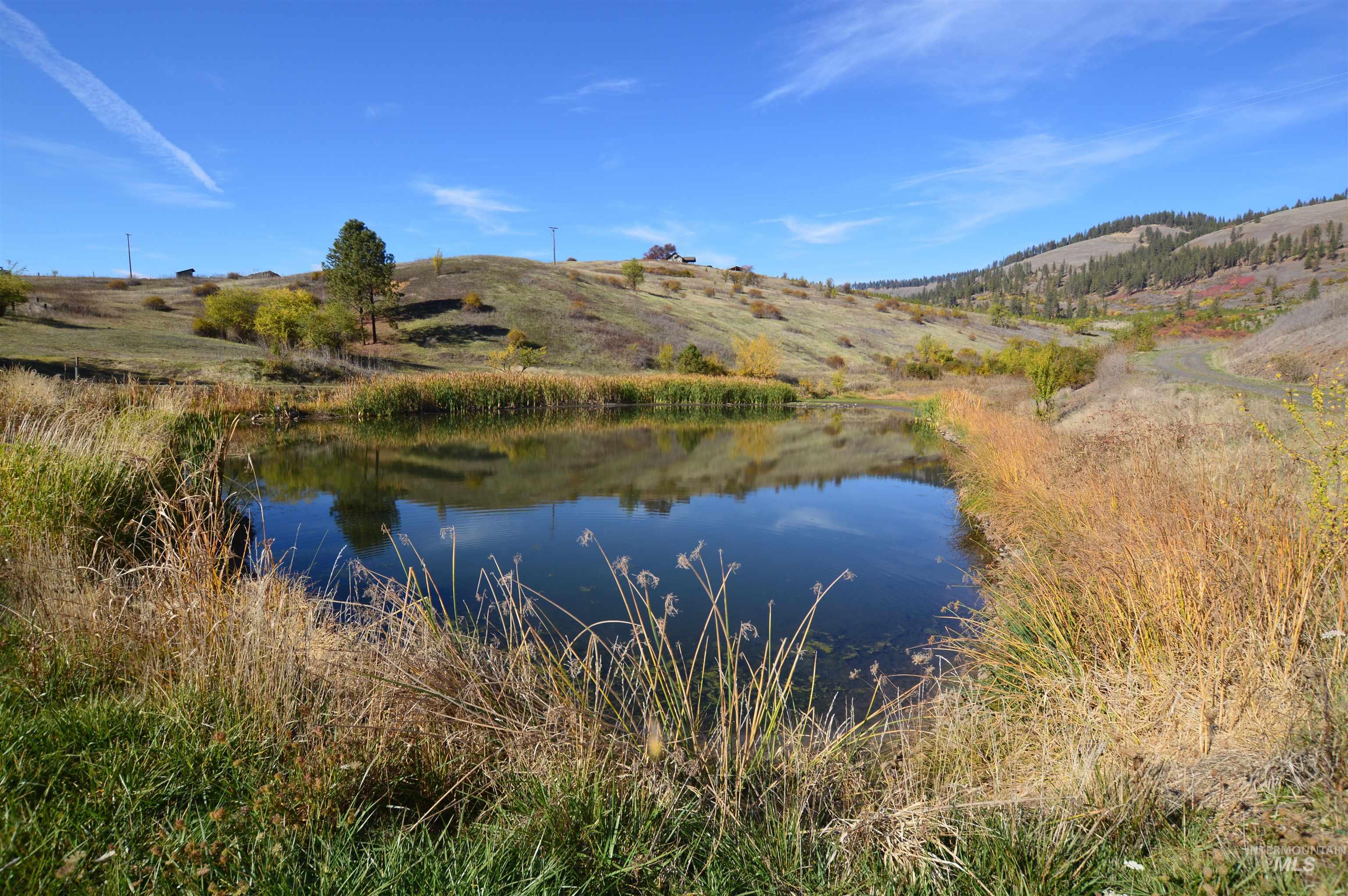 TBD N Glenwood, Kamiah, Idaho 83536, Land For Sale, Price $195,000, 98965665