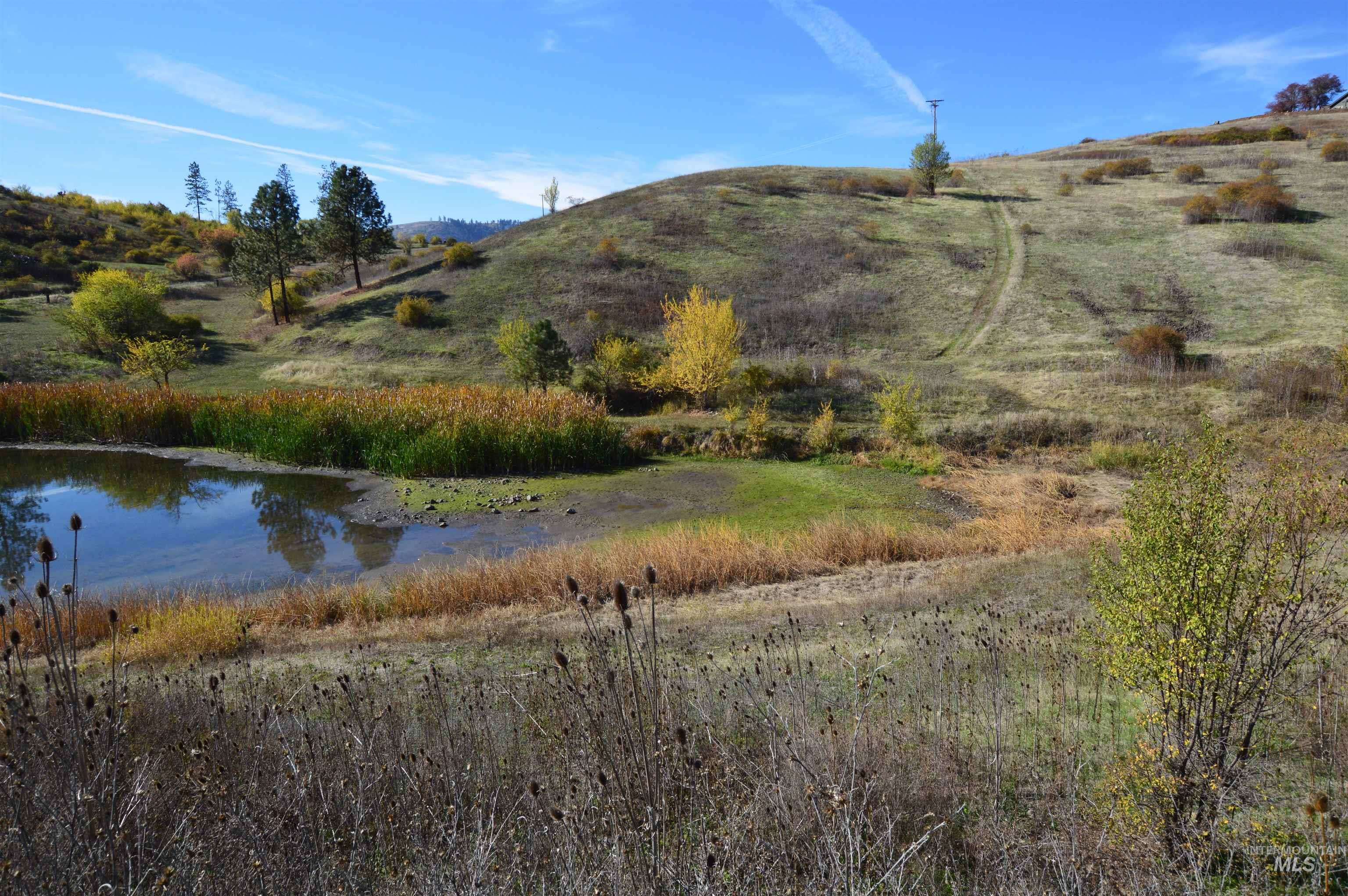 TBD N Glenwood, Kamiah, Idaho 83536, Land For Sale, Price $195,000, 98965665
