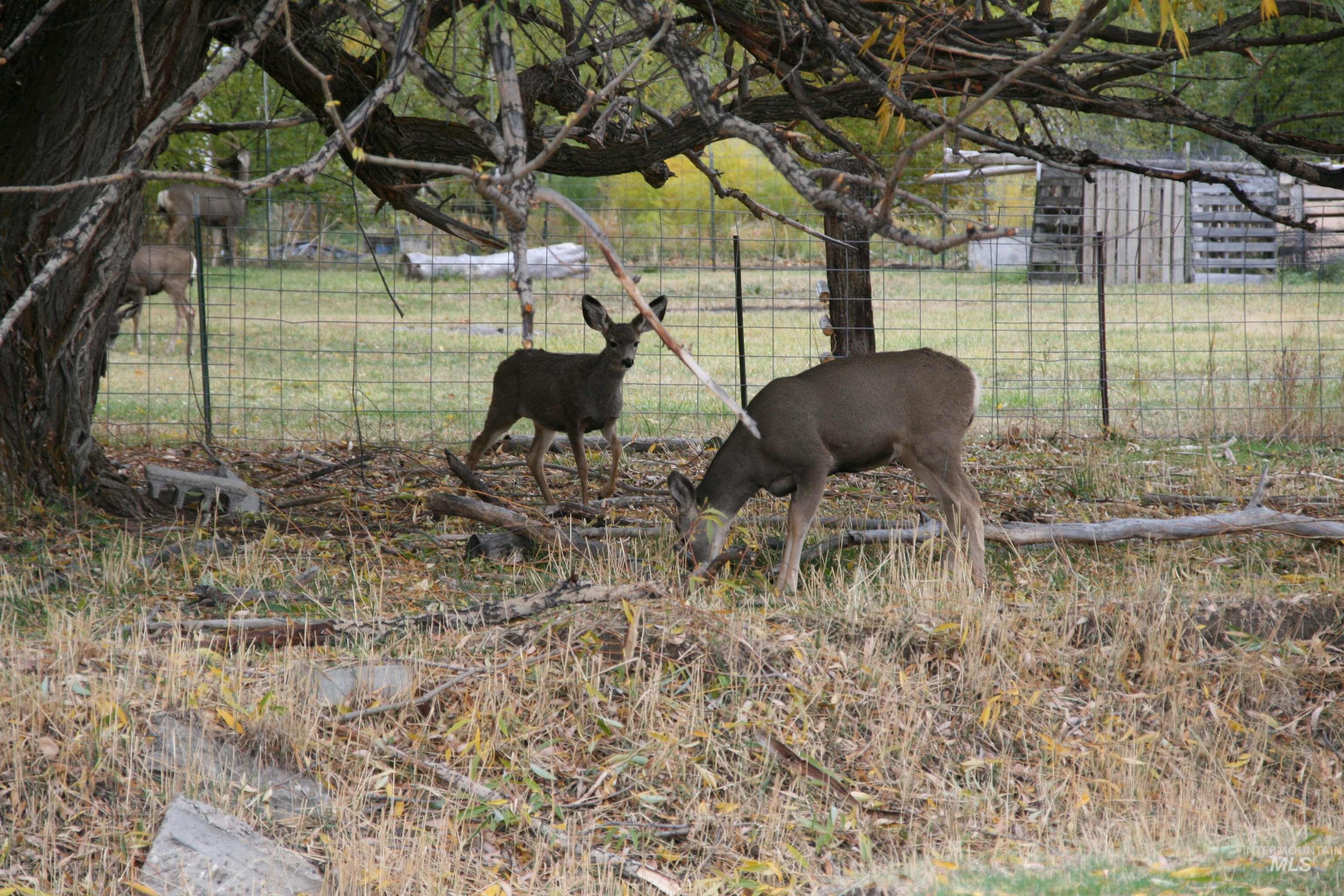 500 Somerville Street, Jordan Valley, Oregon 97910, 2 Bedrooms, 2 Bathrooms, Residential For Sale, Price $173,000,MLS 98965791