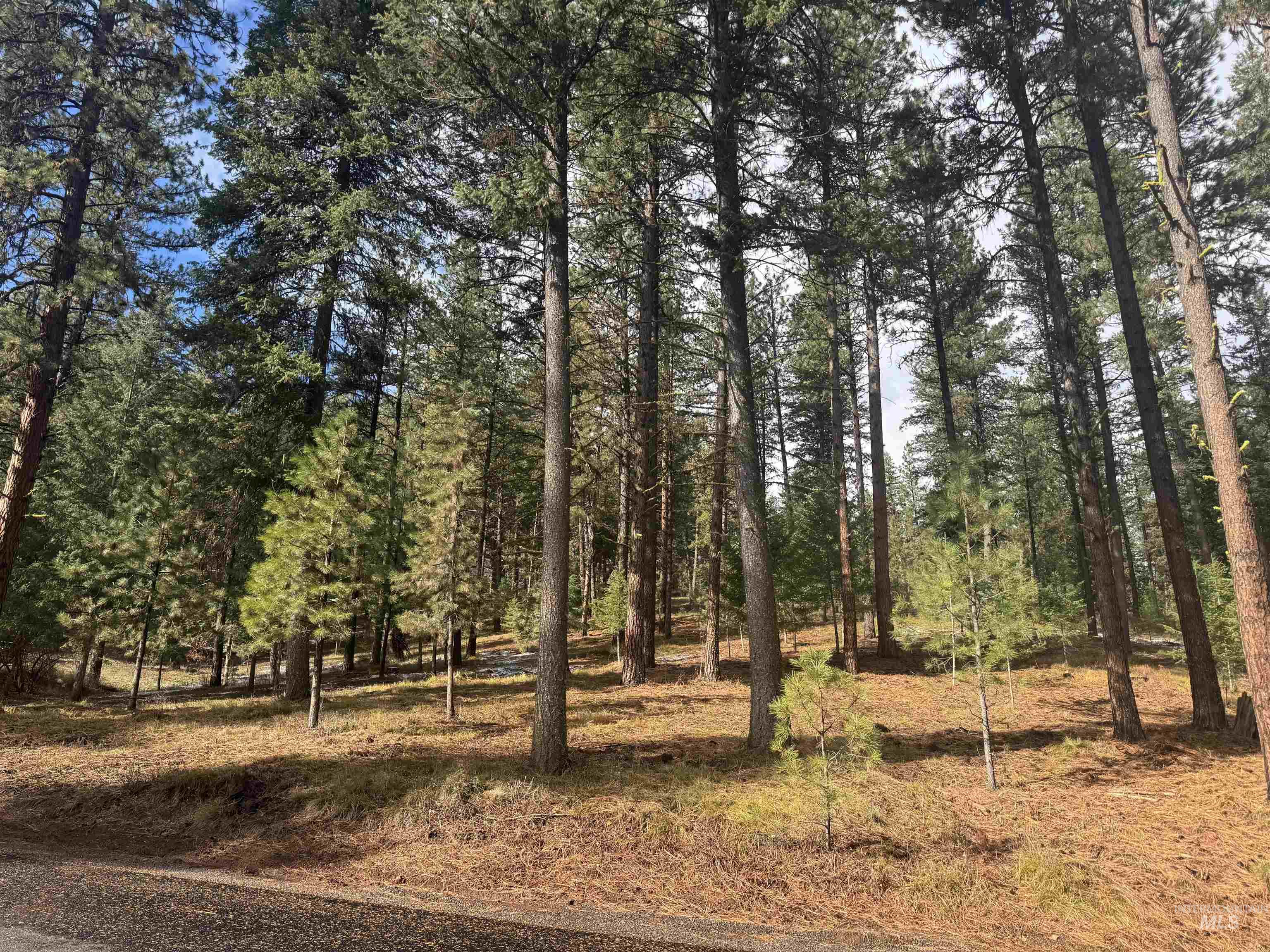 TBD Sorrel Dr, New Meadows, Idaho 83654, Land For Sale, Price $80,000,MLS 98965869
