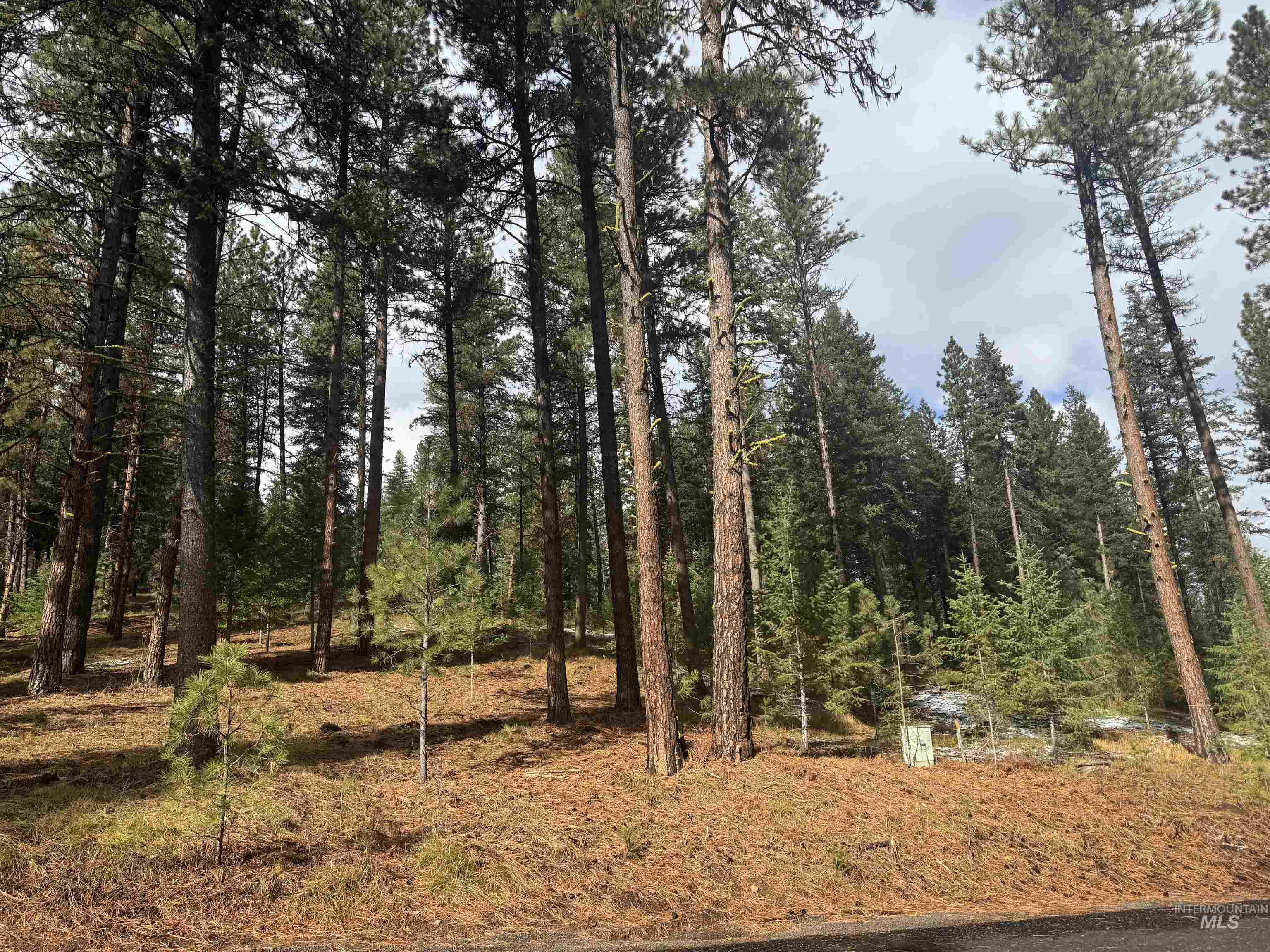 TBD Sorrel Dr, New Meadows, Idaho 83654, Land For Sale, Price $80,000,MLS 98965869