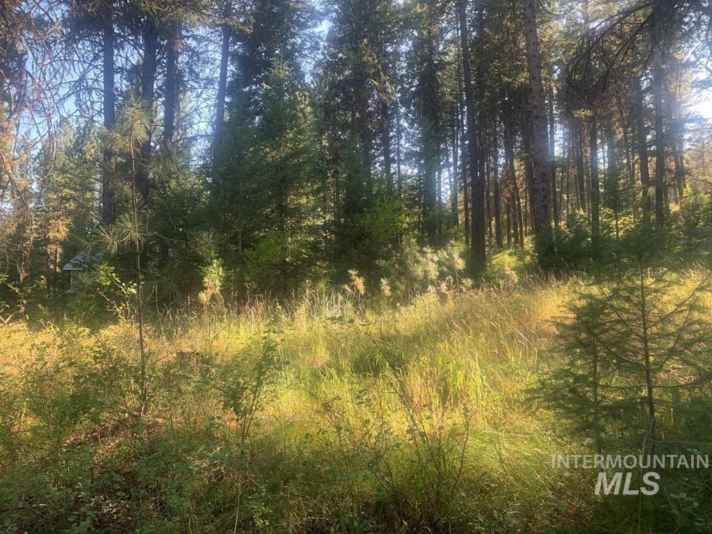 TBD Sorrel Dr, New Meadows, Idaho 83654, Land For Sale, Price $80,000,MLS 98965869