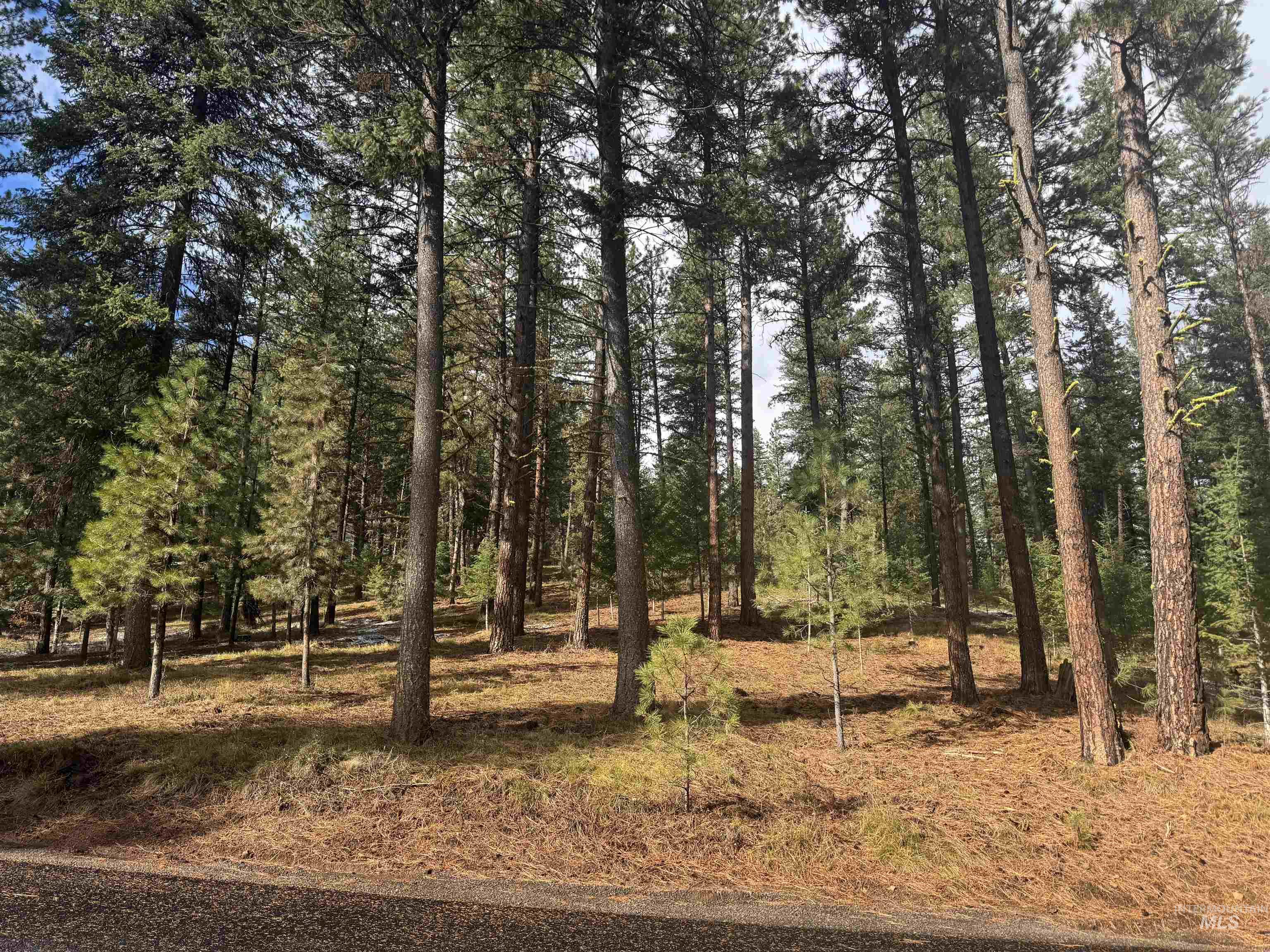 TBD Sorrel Dr, New Meadows, Idaho 83654, Land For Sale, Price $80,000,MLS 98965869