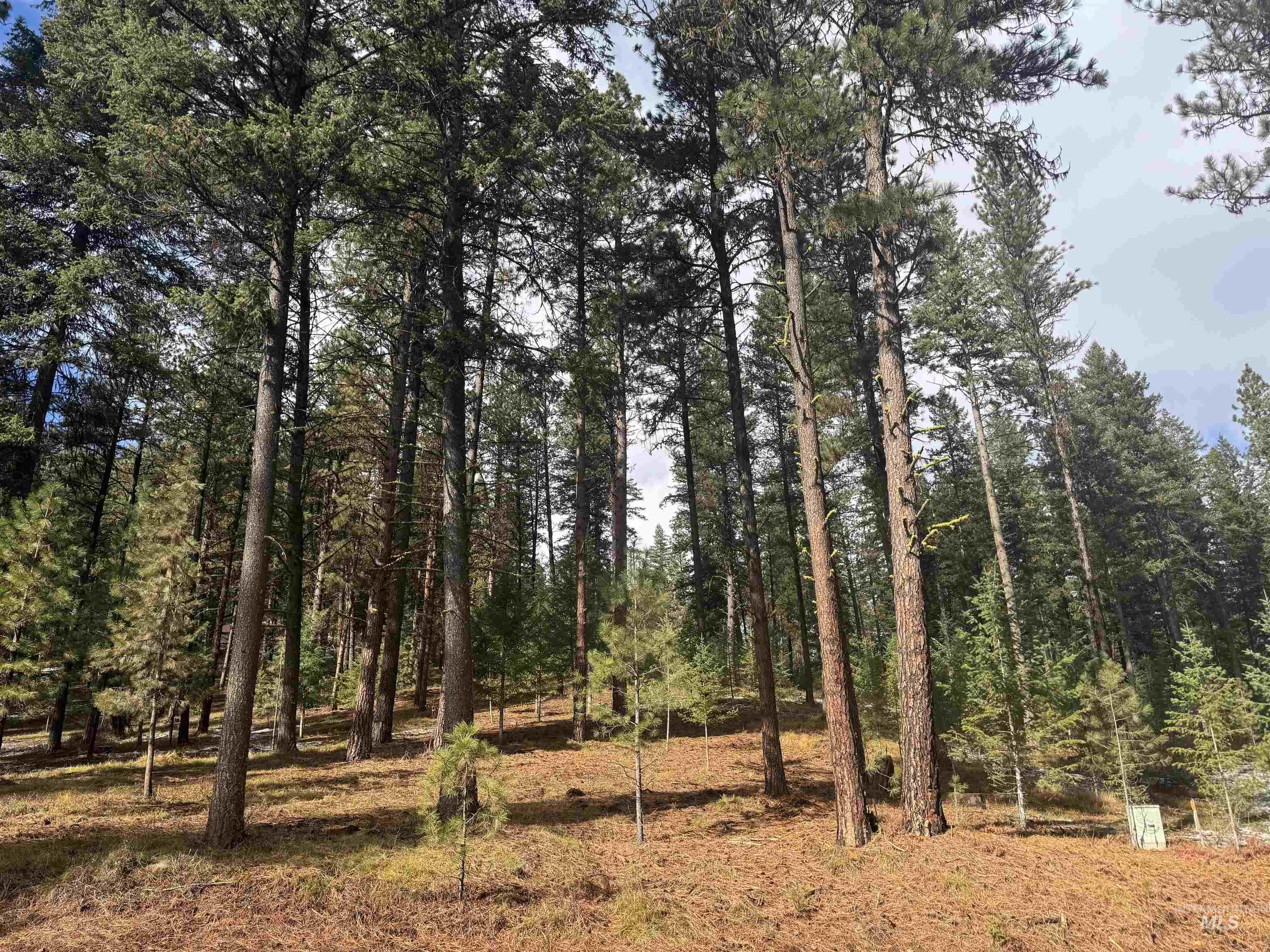 TBD Sorrel Dr, New Meadows, Idaho 83654, Land For Sale, Price $80,000,MLS 98965869
