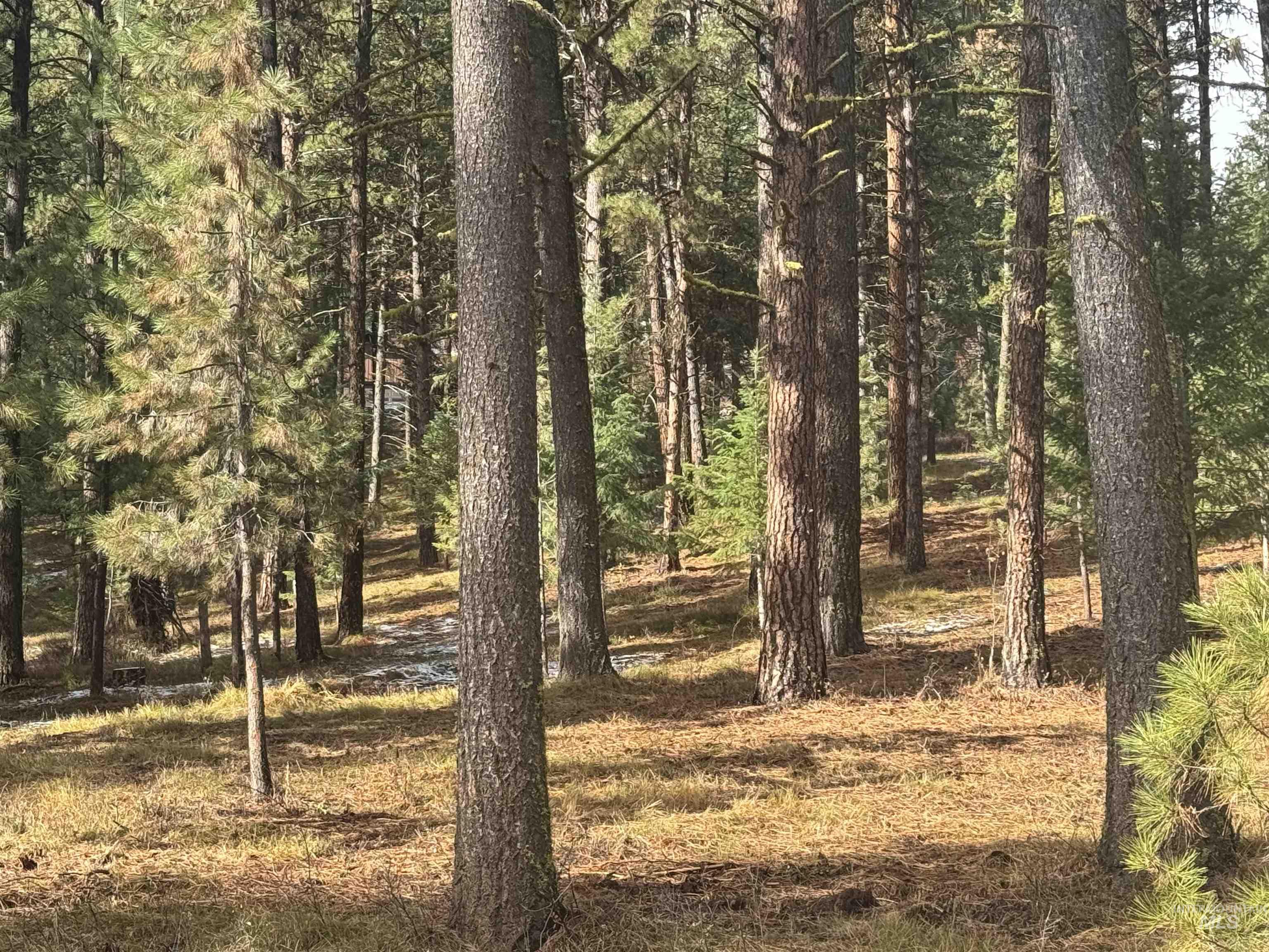 TBD Sorrel Dr, New Meadows, Idaho 83654, Land For Sale, Price $80,000,MLS 98965869