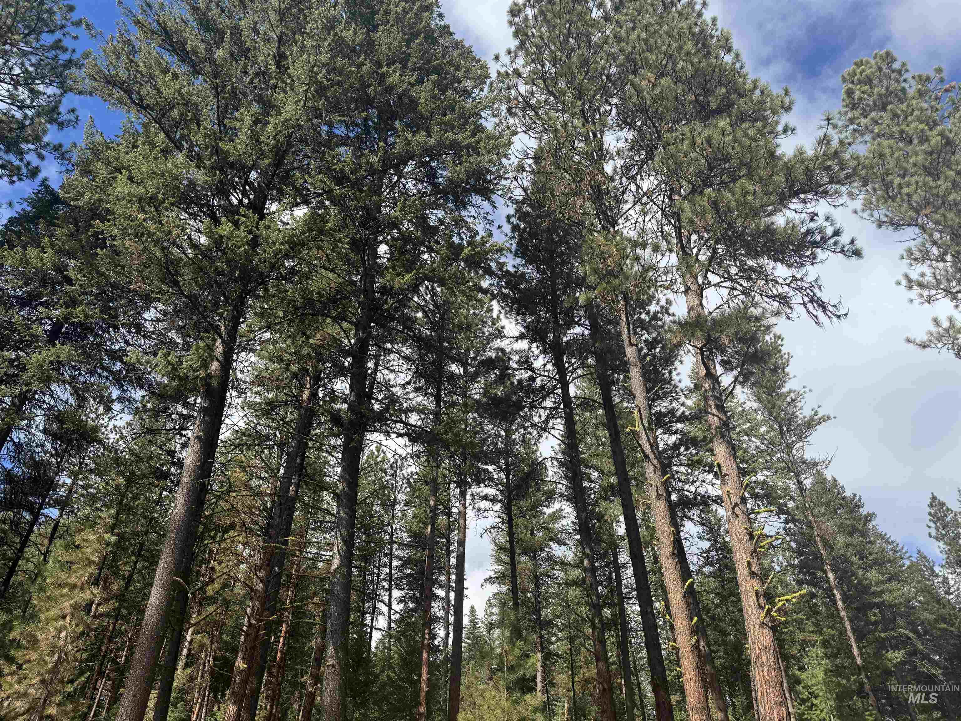 TBD Sorrel Dr, New Meadows, Idaho 83654, Land For Sale, Price $80,000,MLS 98965869