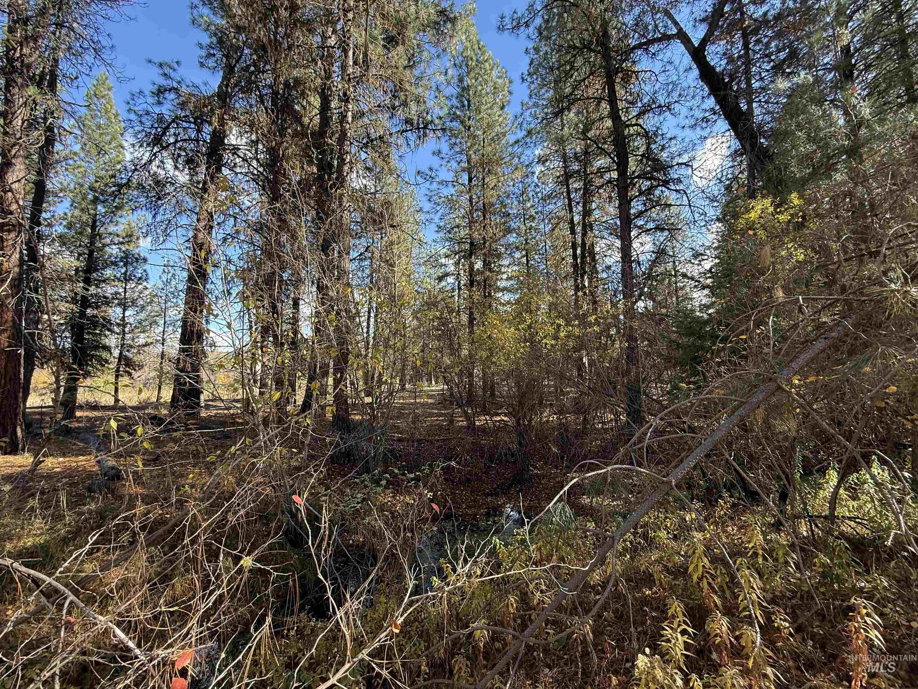 Lot 1 Lane C, Garden Valley, Idaho 83622, Land For Sale, Price $165,000,MLS 98965903