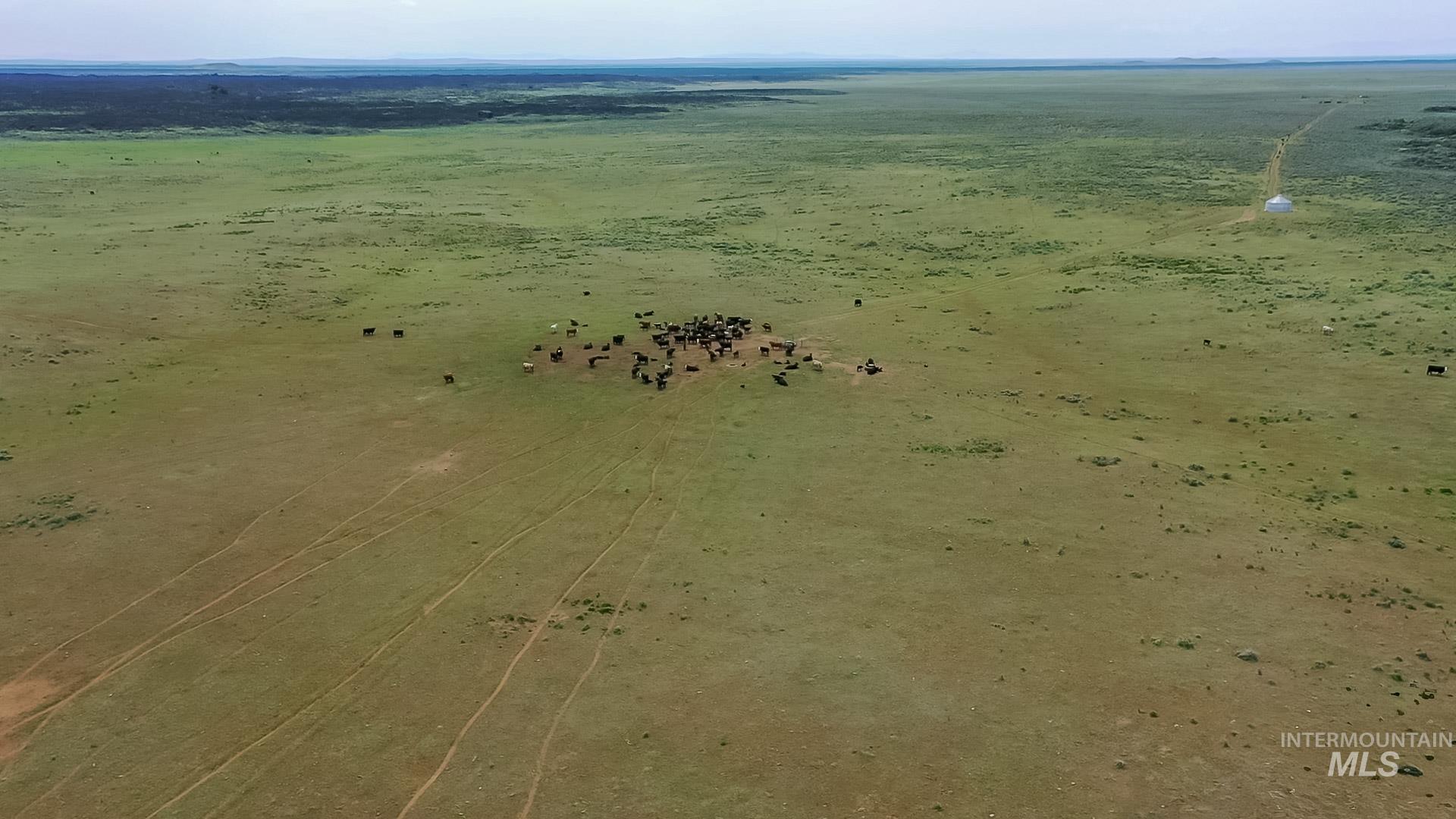 Farm & Ranch For Sale